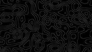 white-on-black-topographical-map-clean