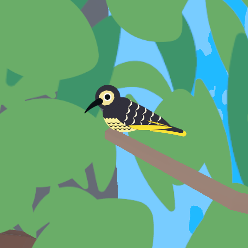 Regent Honeyeater