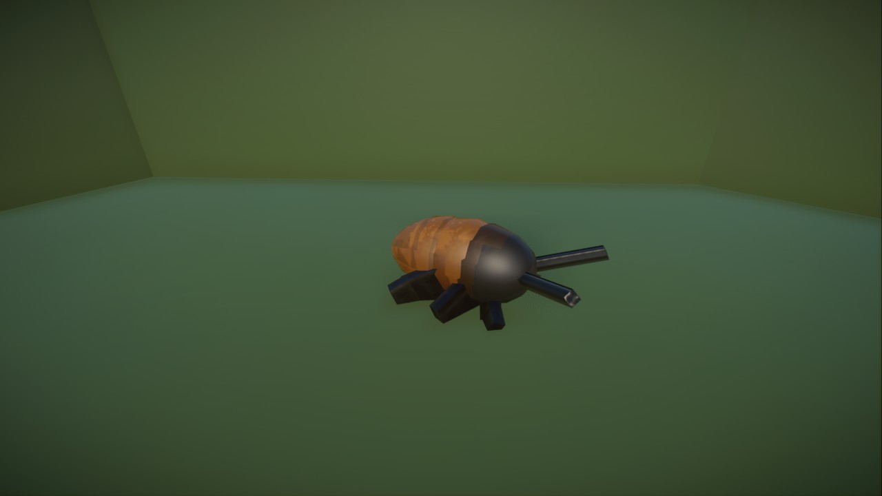 Madagascar Hissing Cockroach