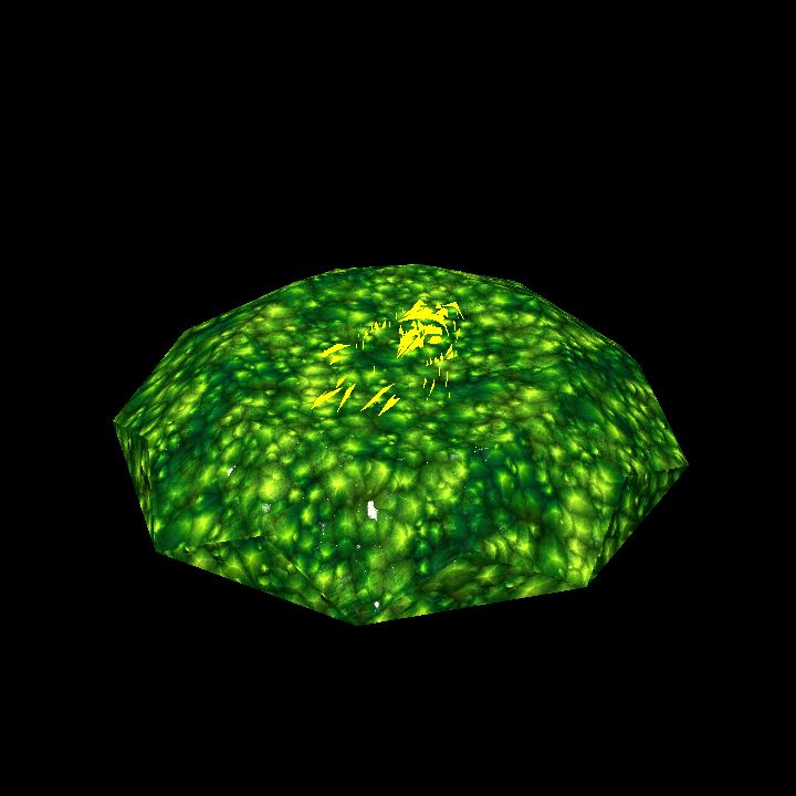 A glowing sigil stone B - raven