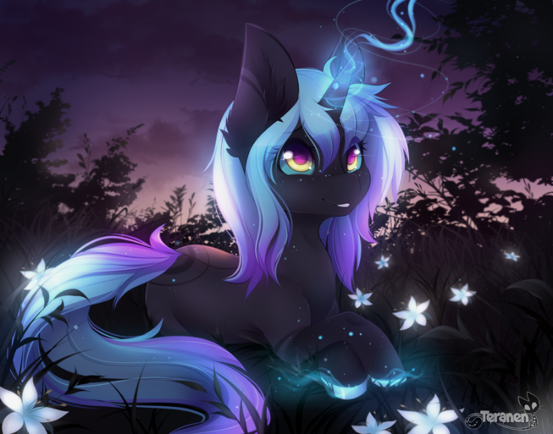 Pony