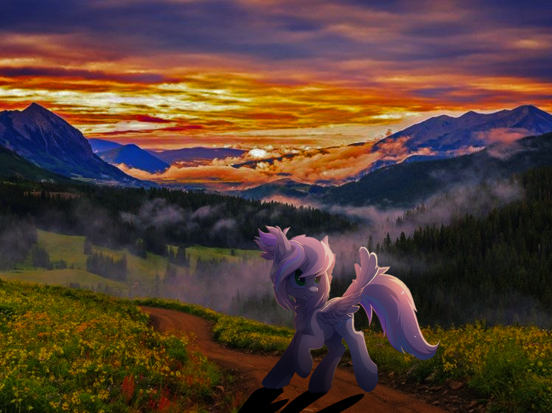Pony