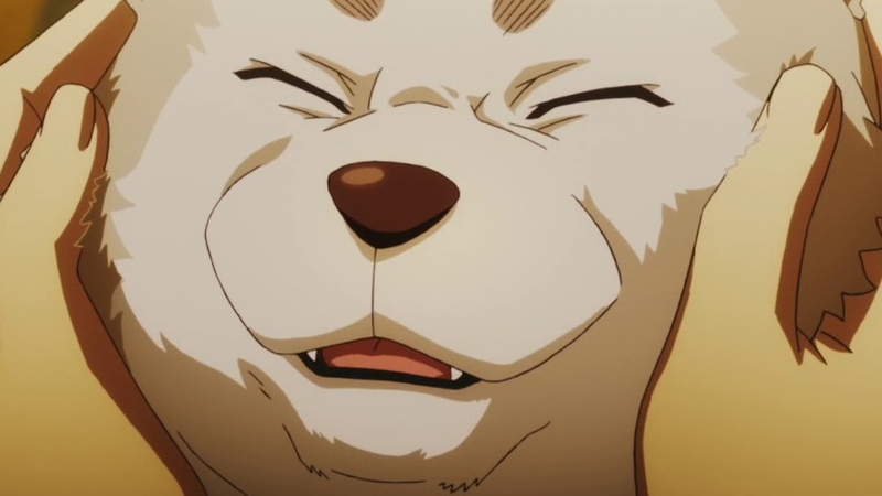 Koromaru as QP