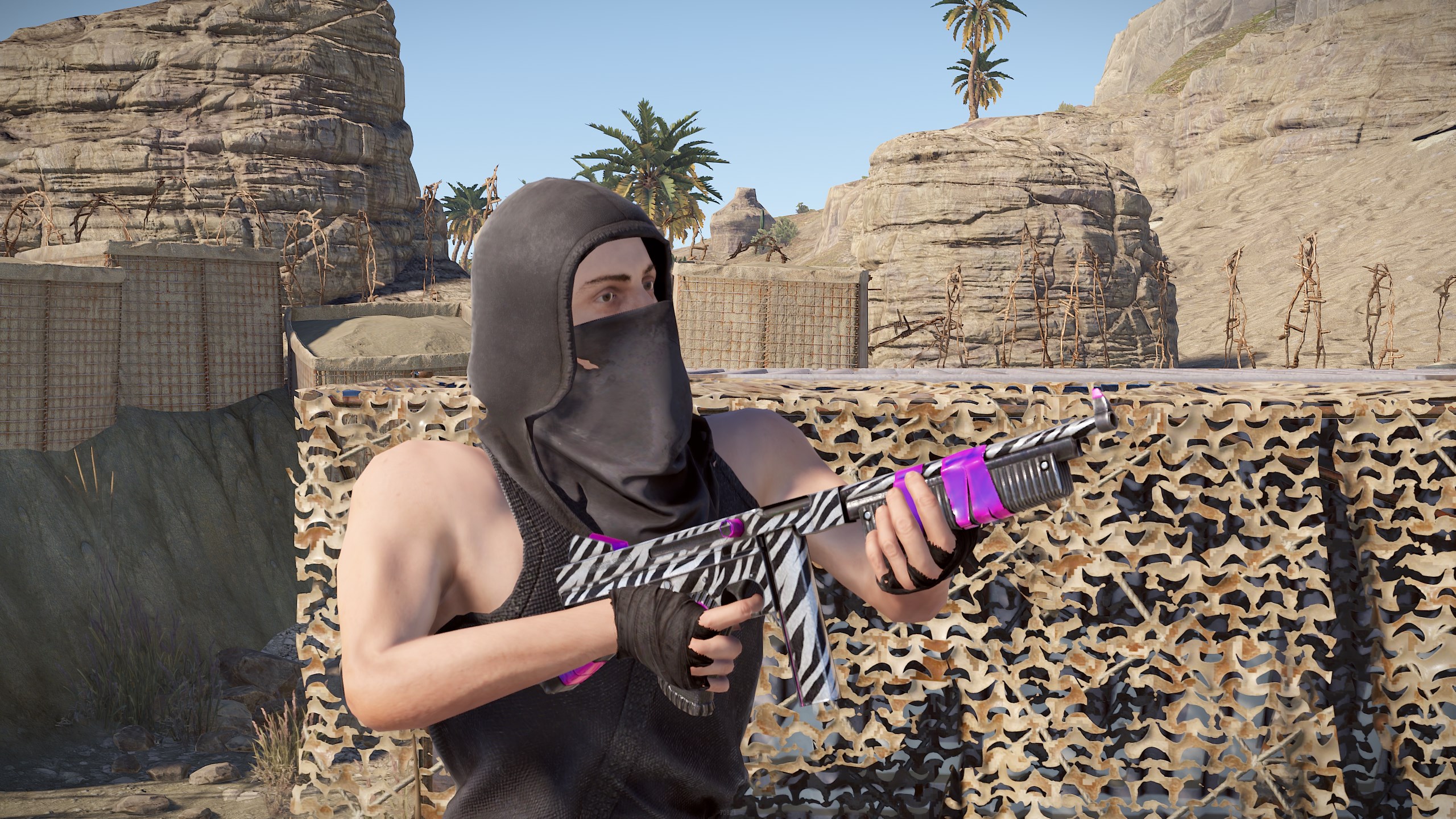 Zebra Thompson