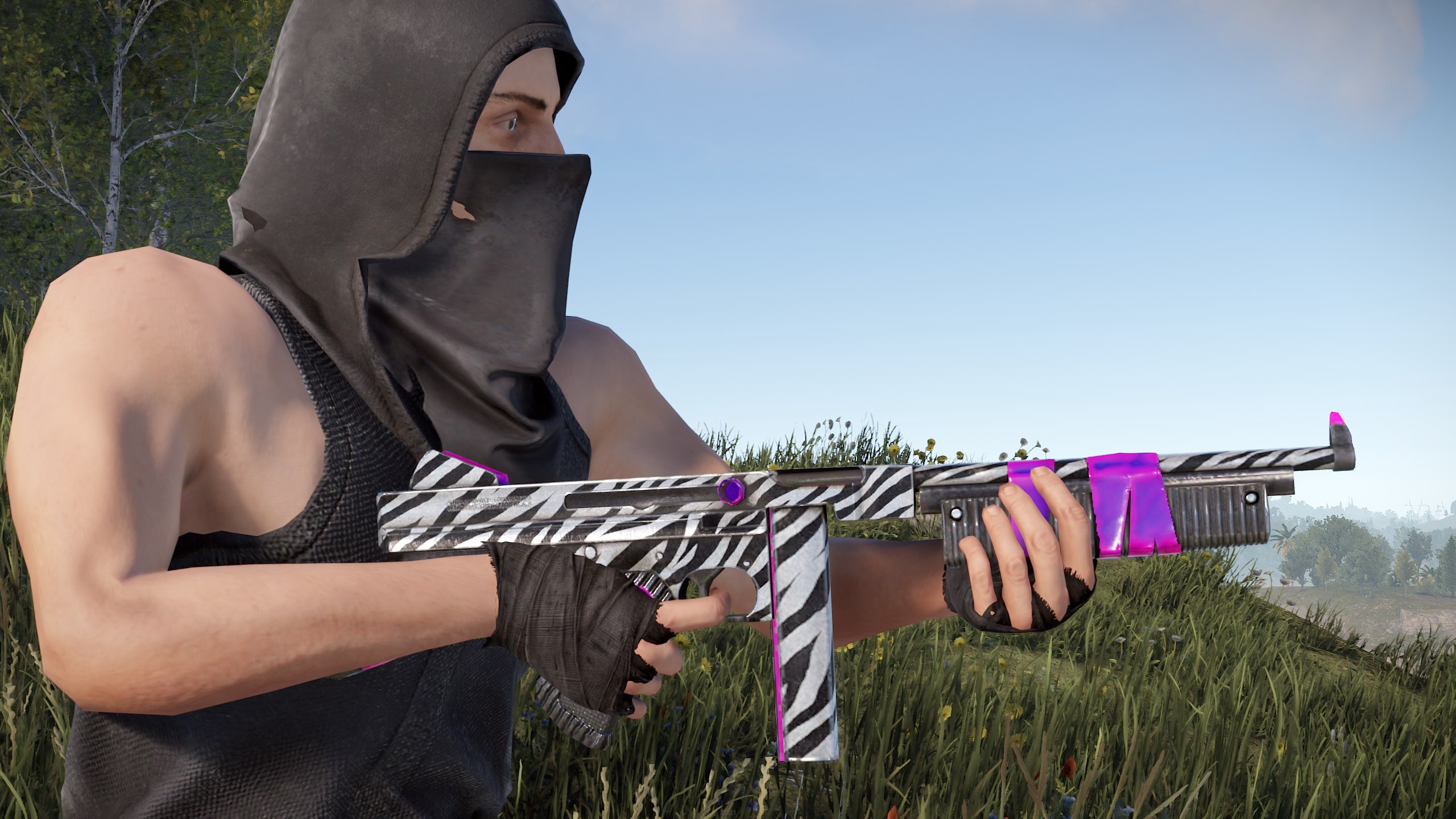 Zebra Thompson