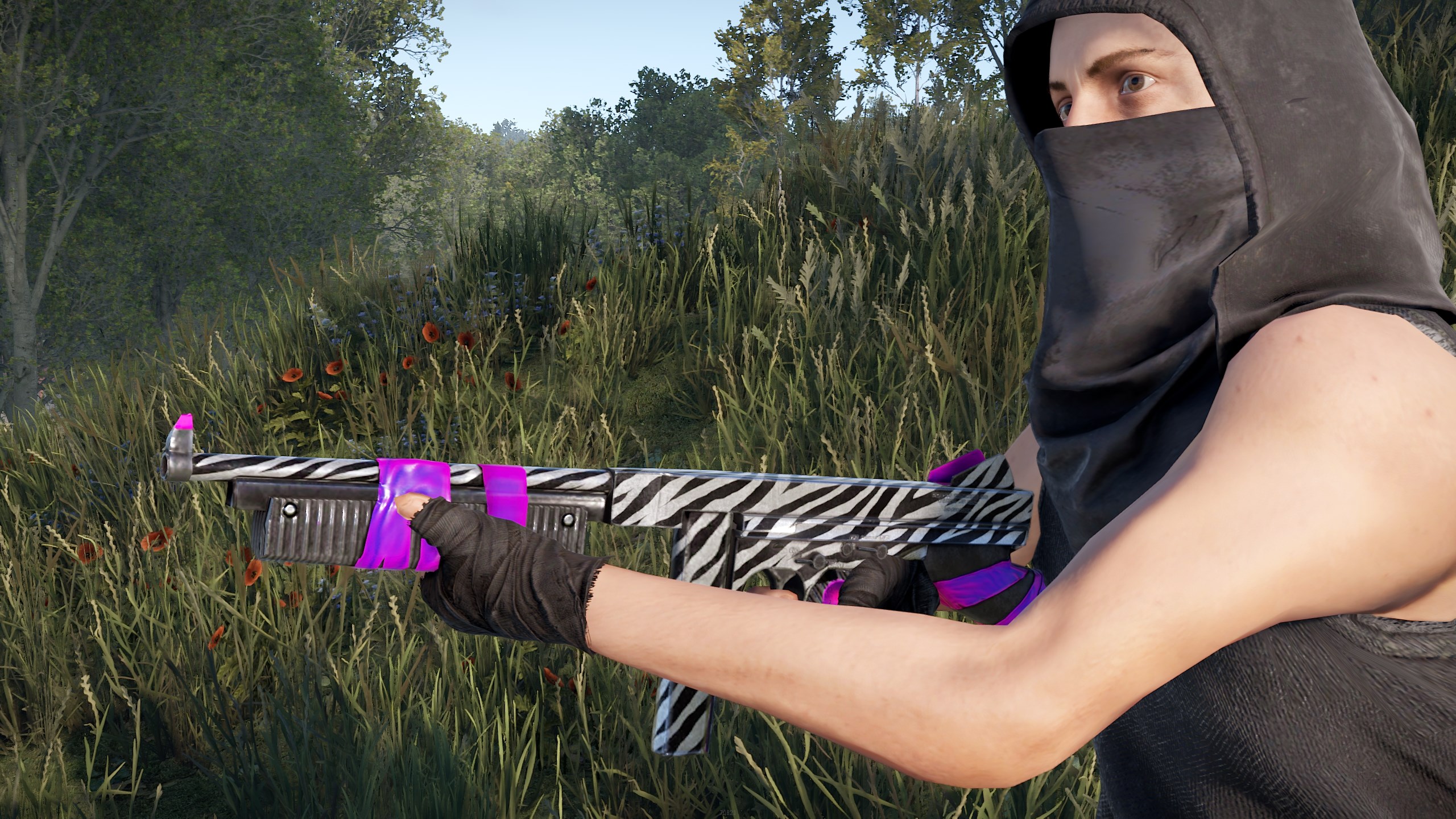 Zebra Thompson
