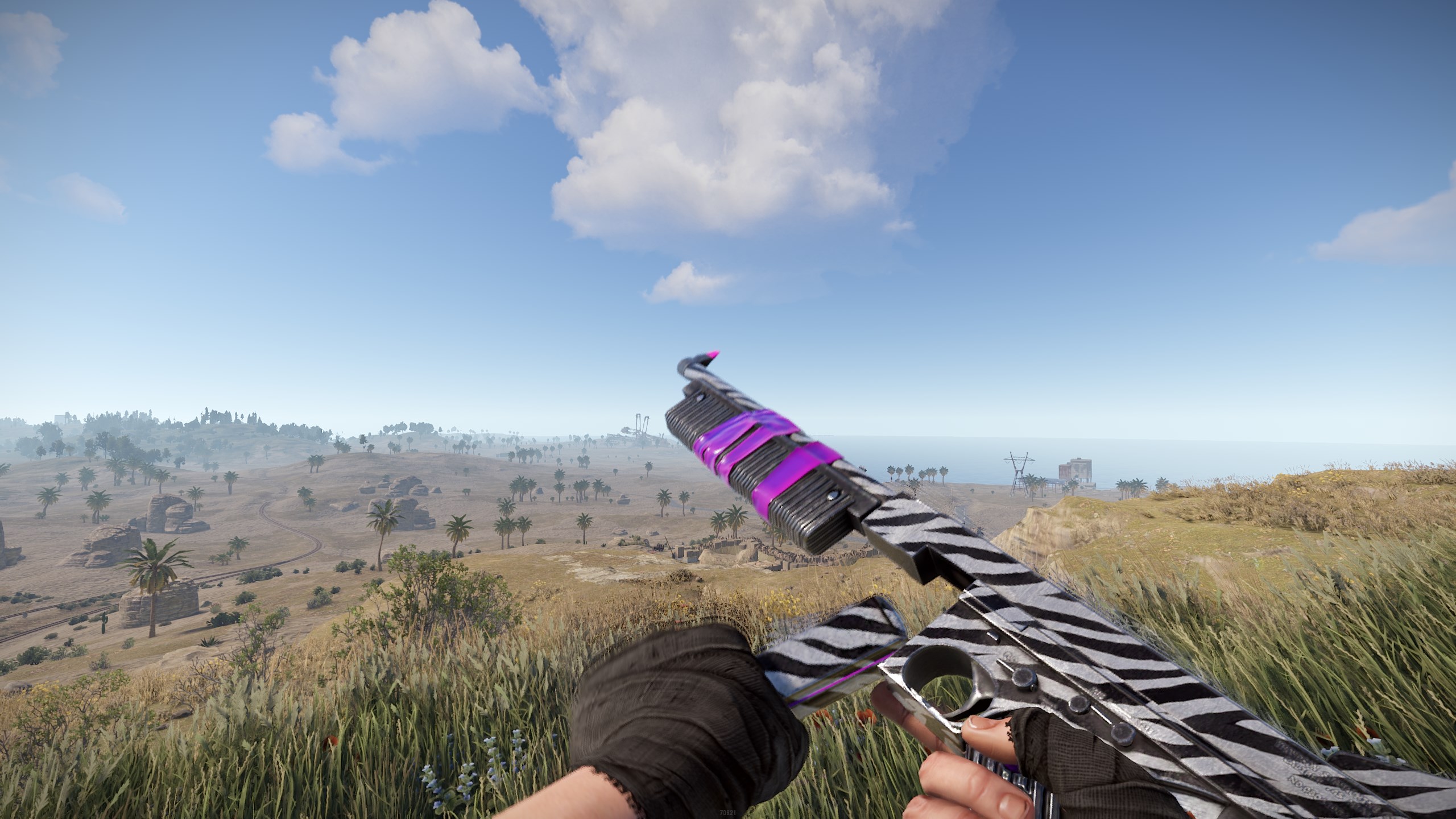 Zebra Thompson
