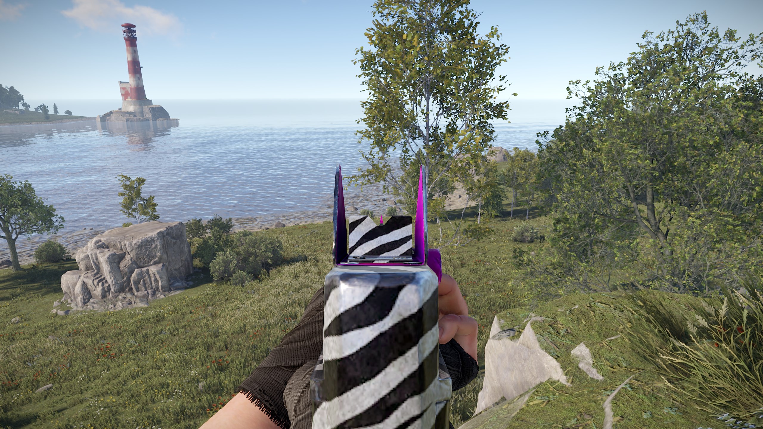 Zebra Thompson