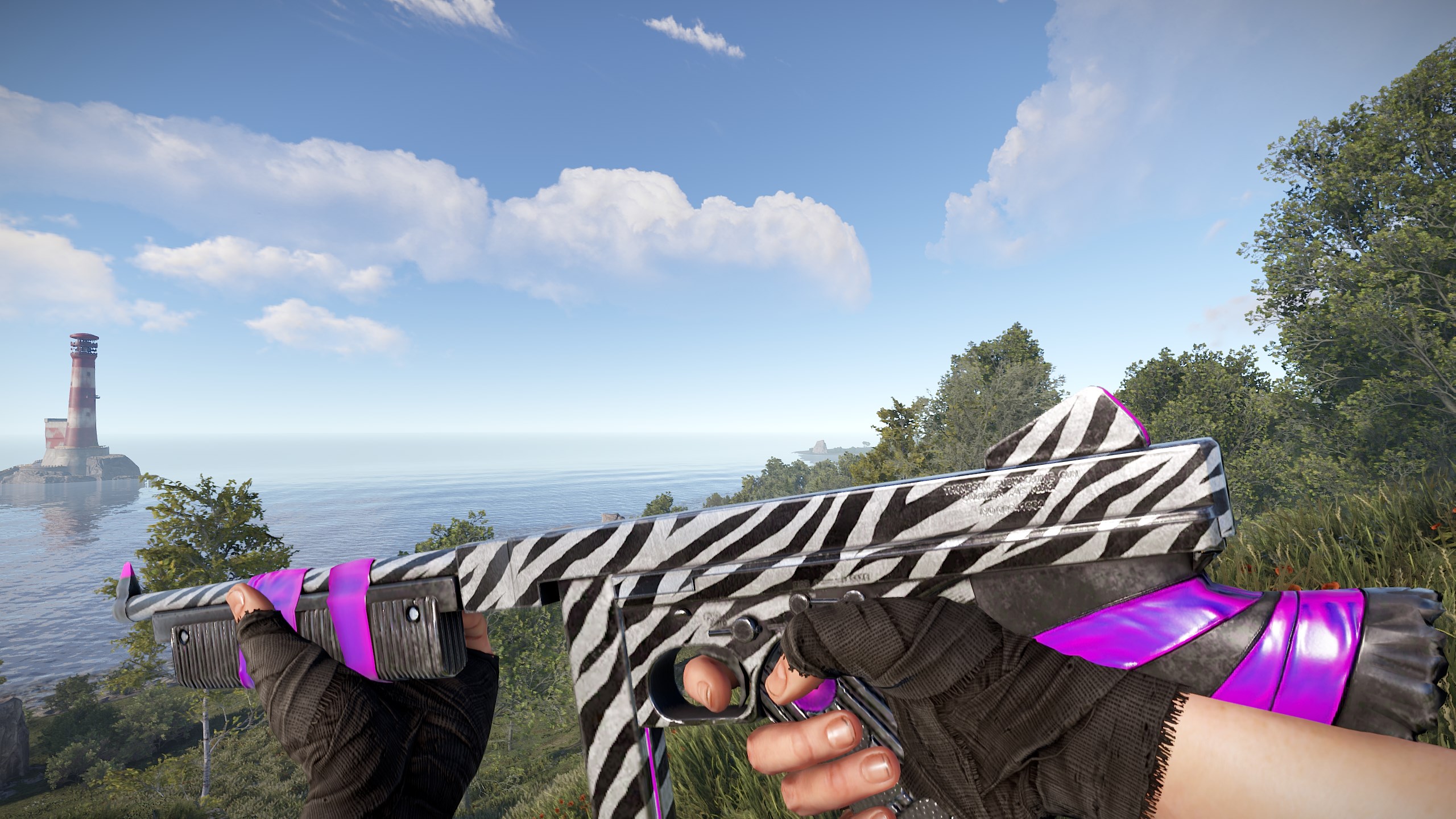Zebra Thompson