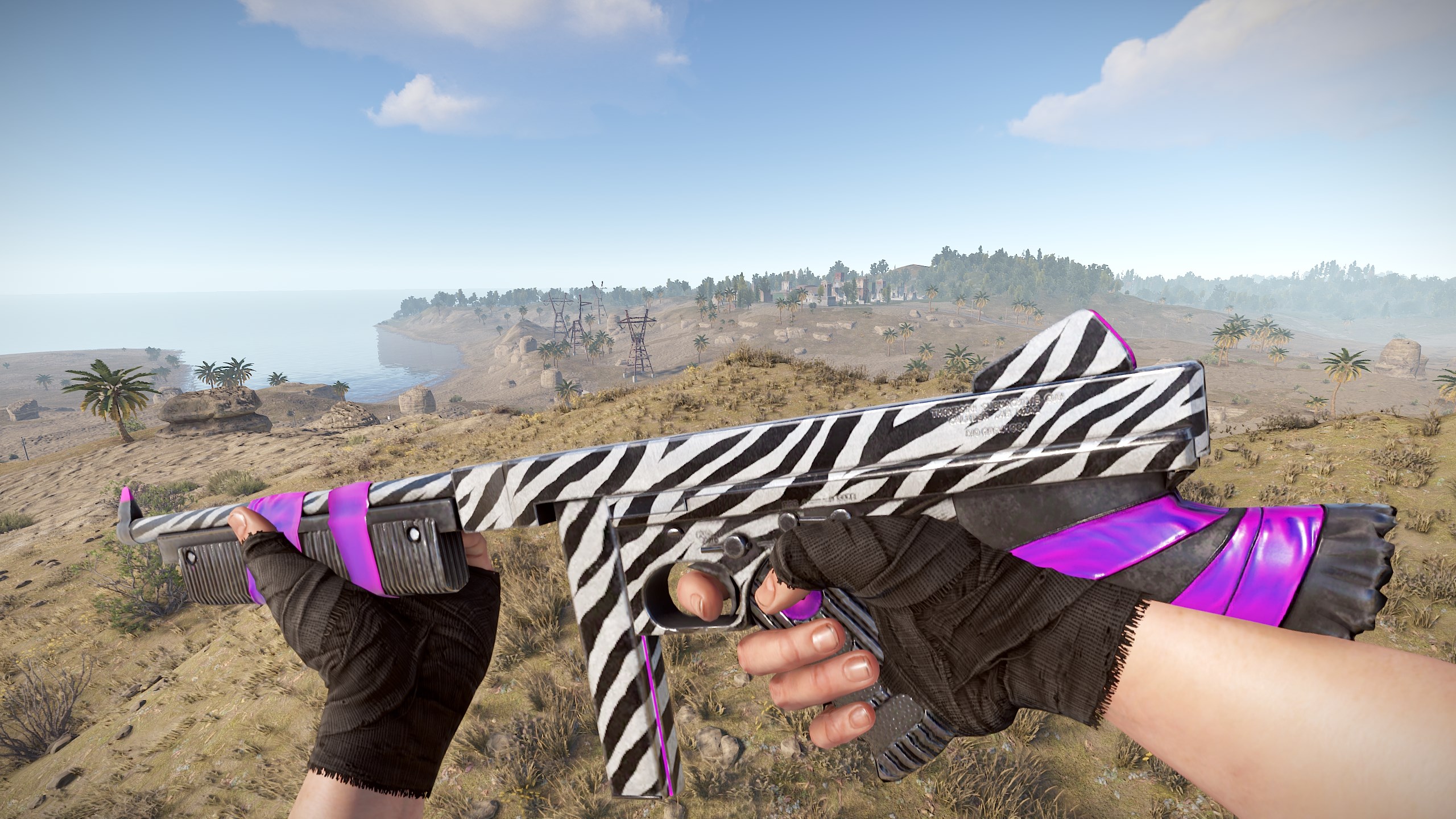 Zebra Thompson