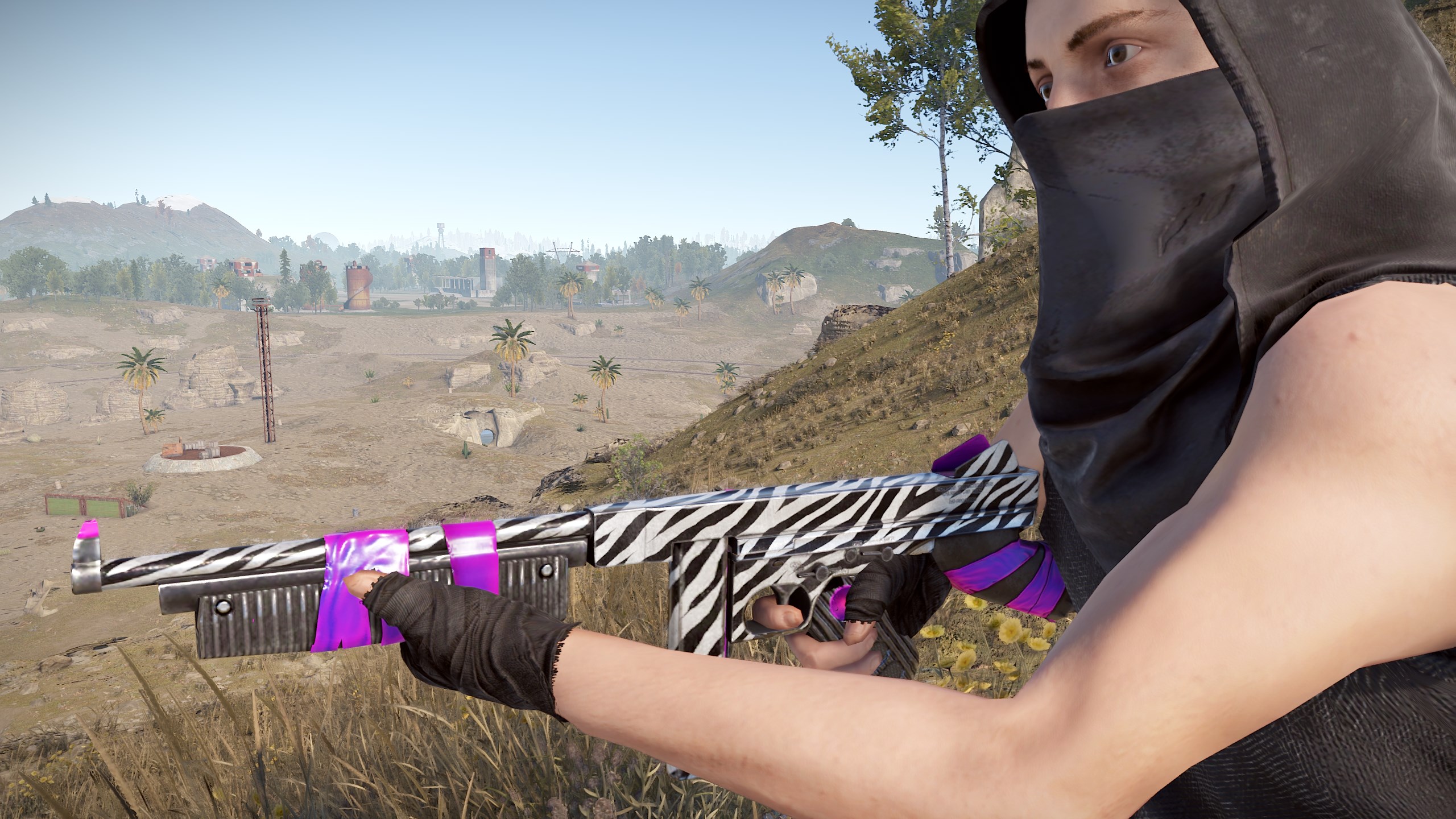 Zebra Thompson