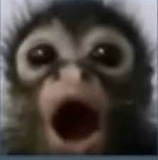 Monke