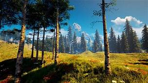 Terrain Assets
