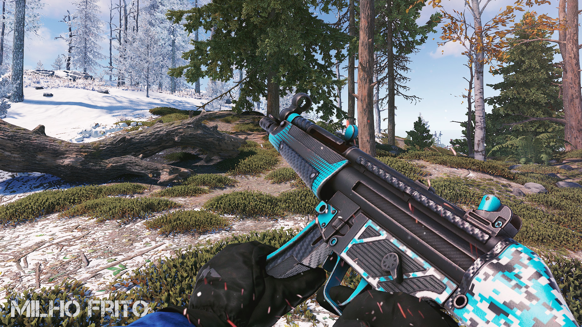 Digital Carbon MP5