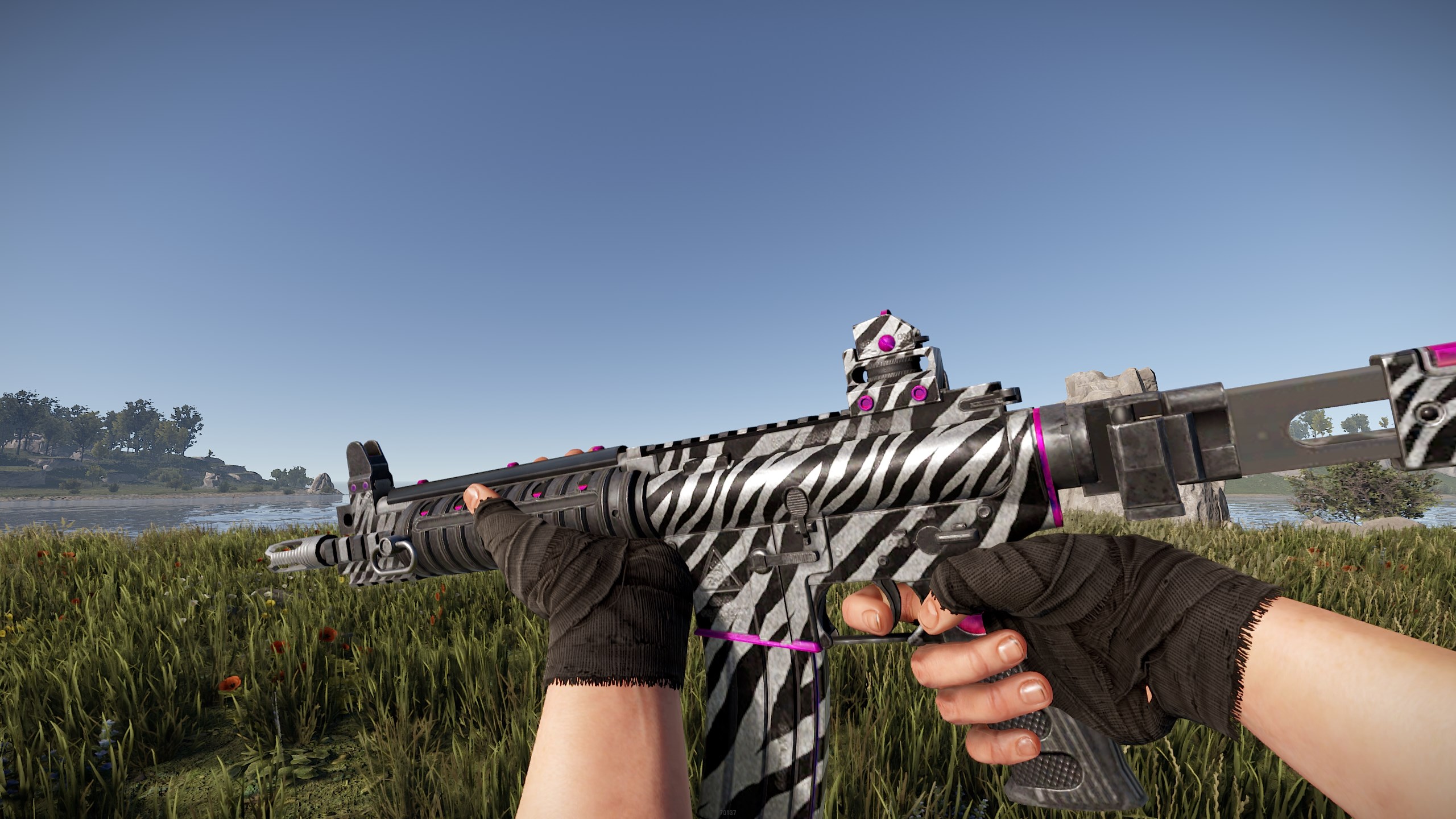 Zebra LR