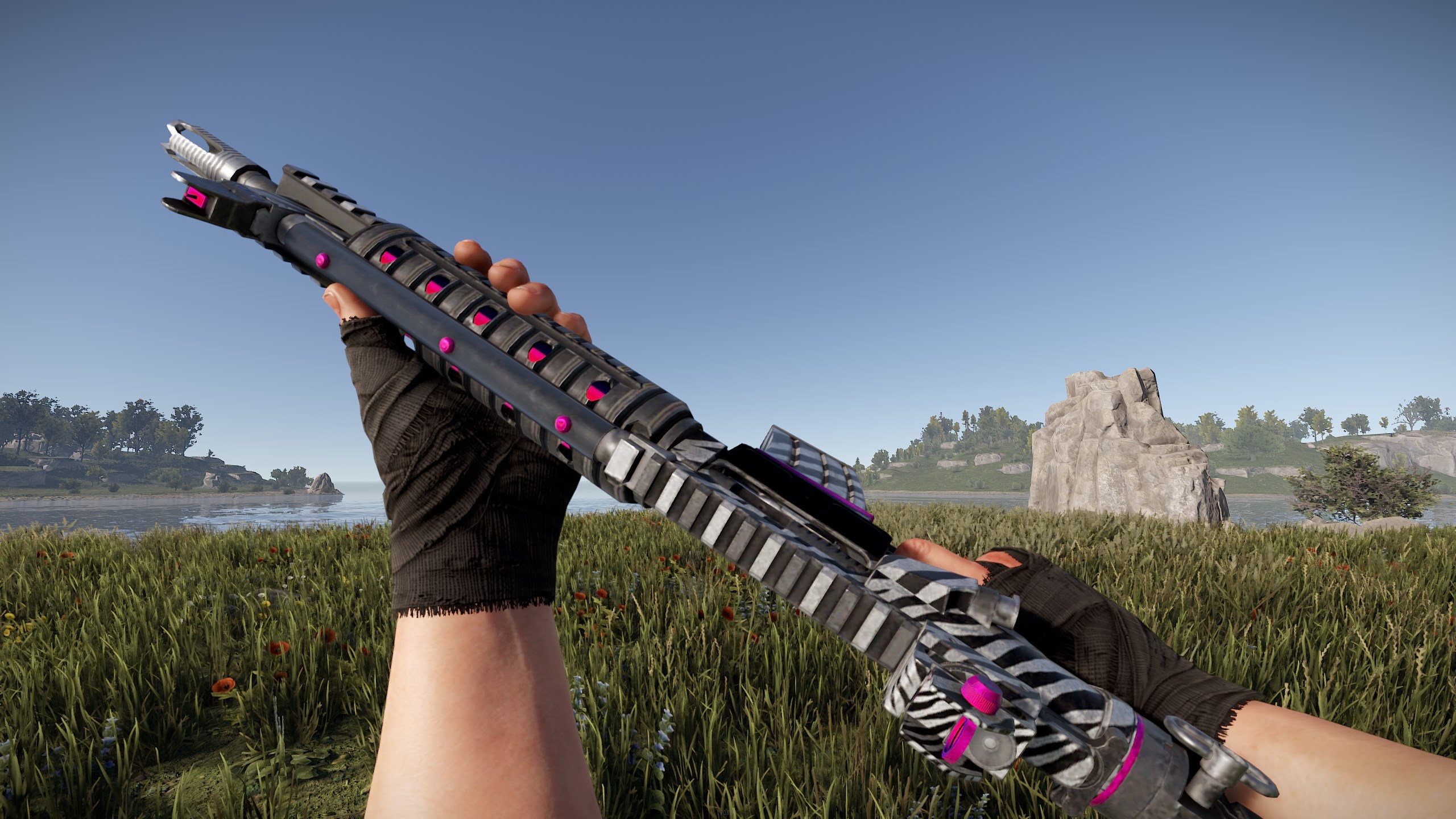 Zebra LR