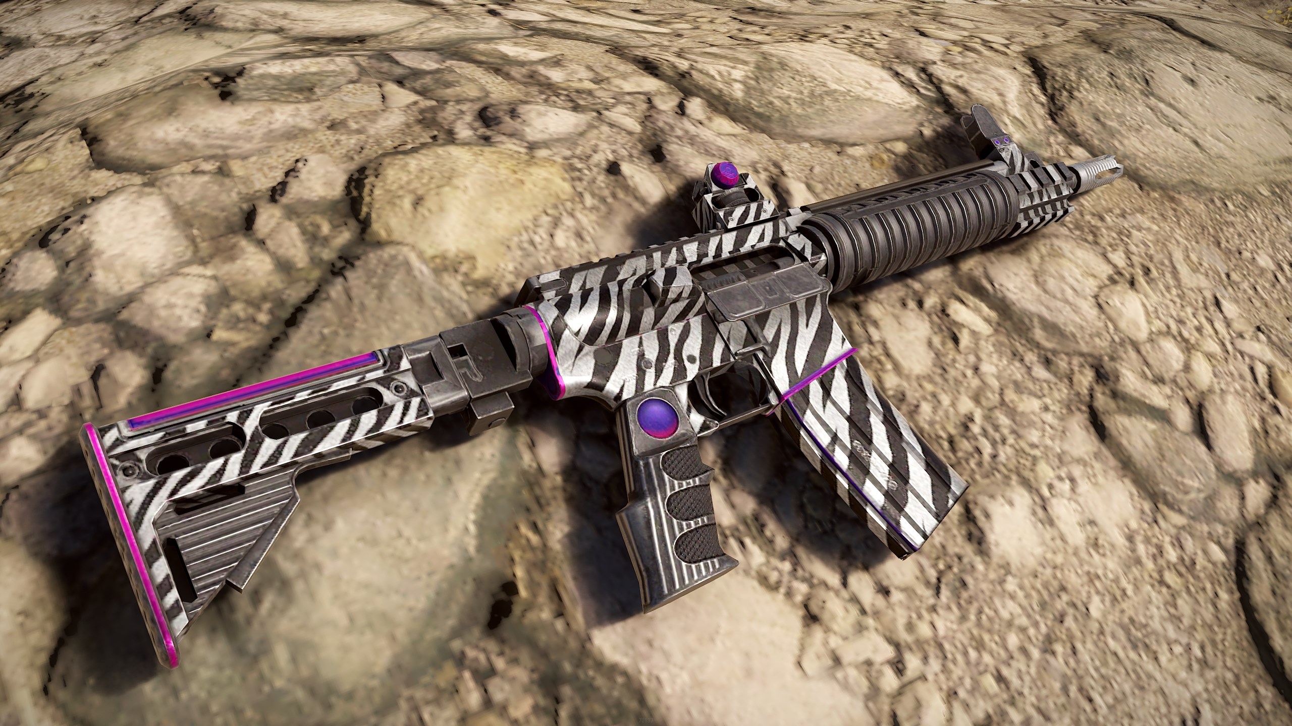 Zebra LR
