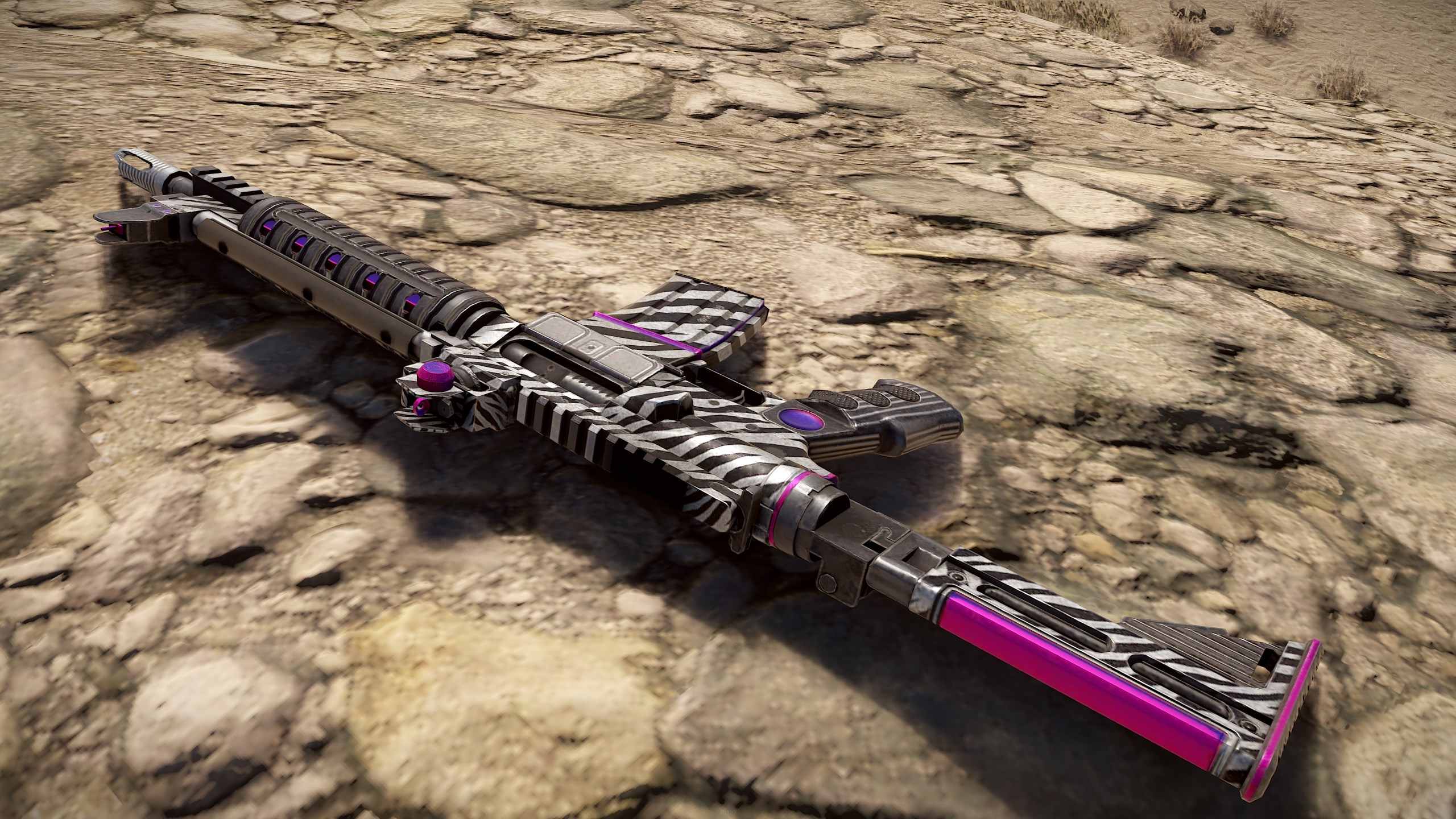 Zebra LR