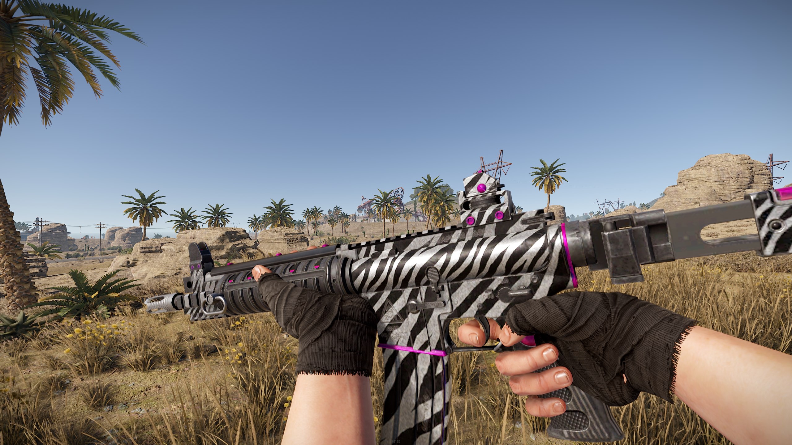 Zebra LR