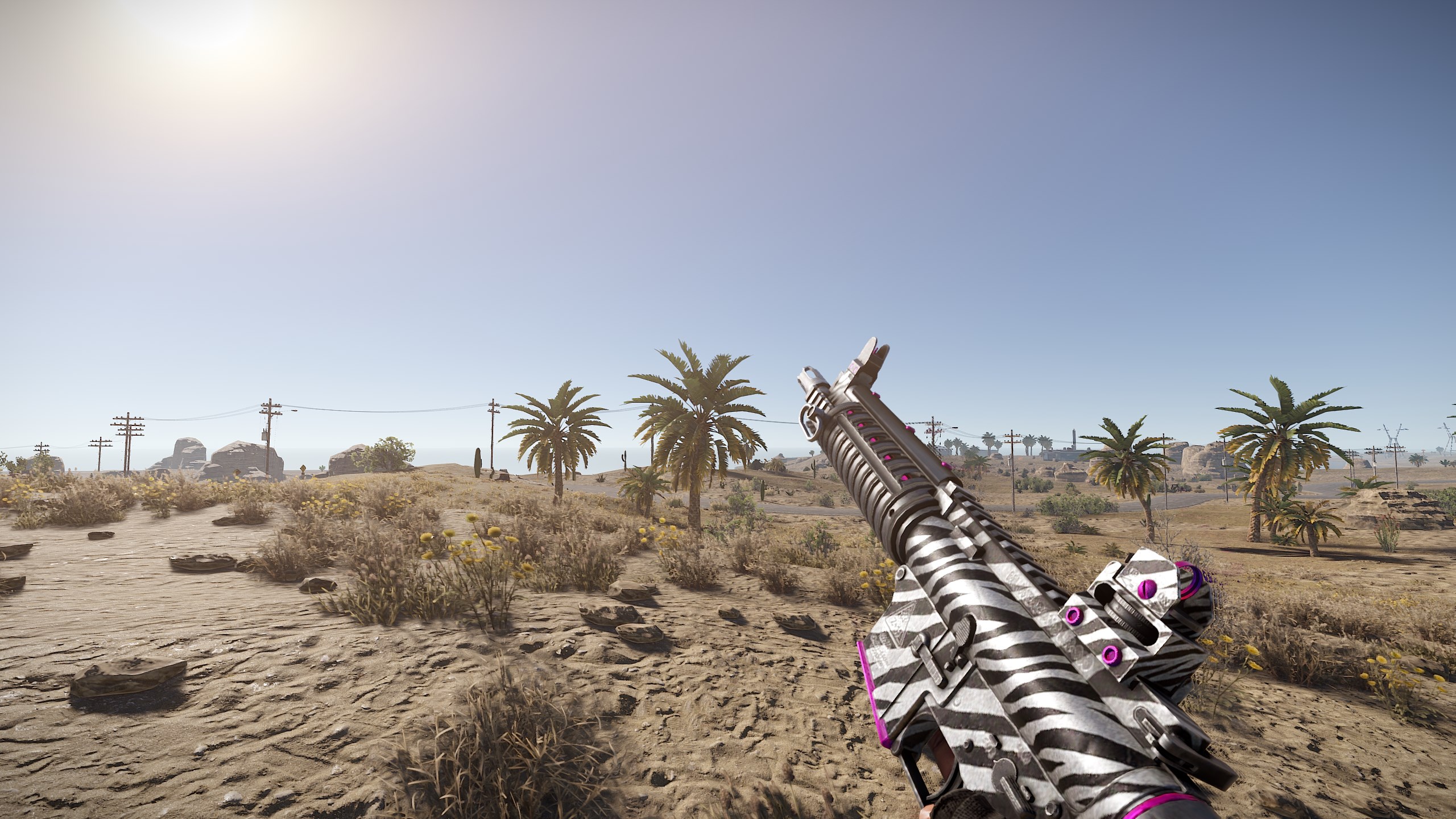 Zebra LR