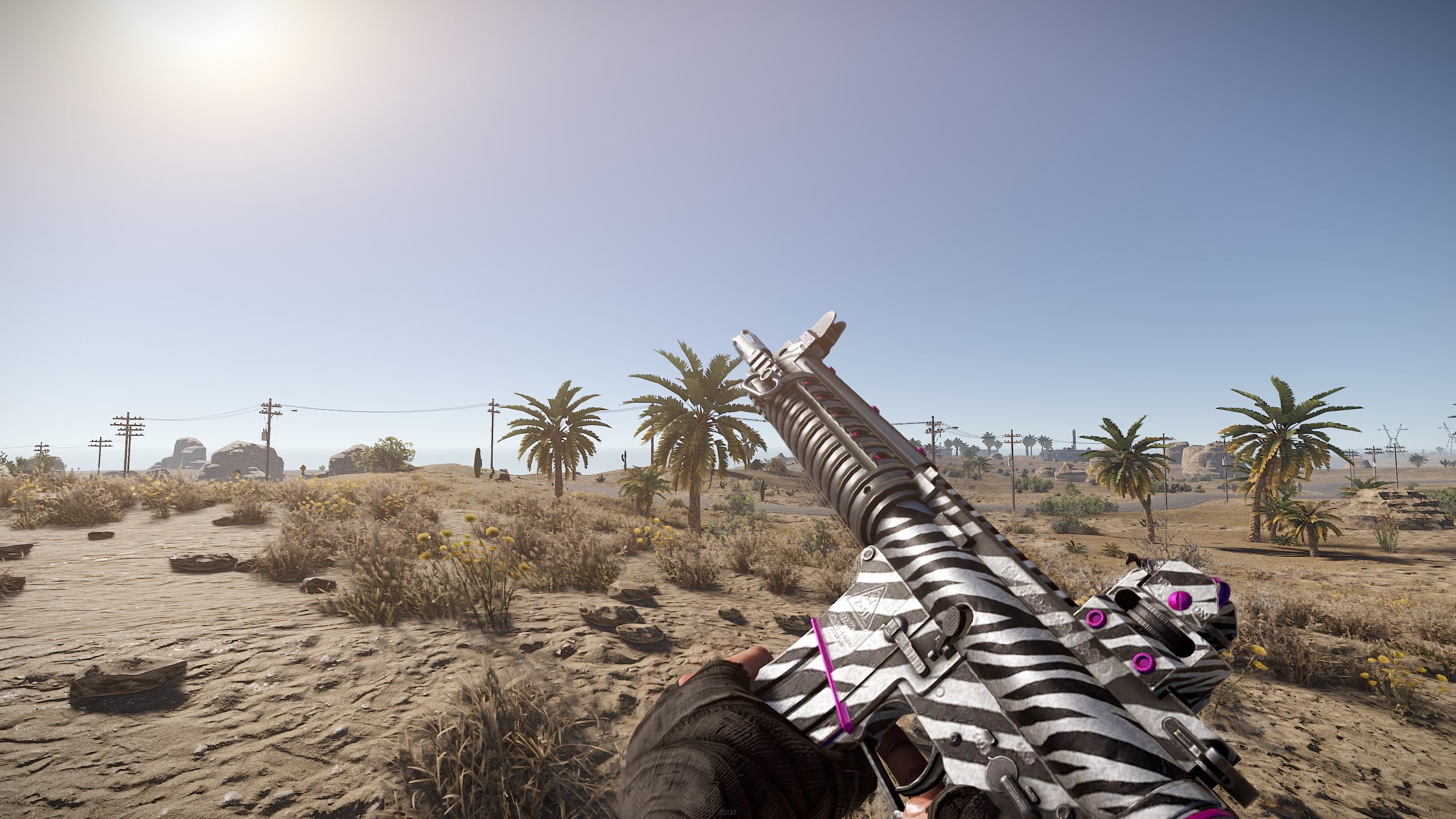 Zebra LR