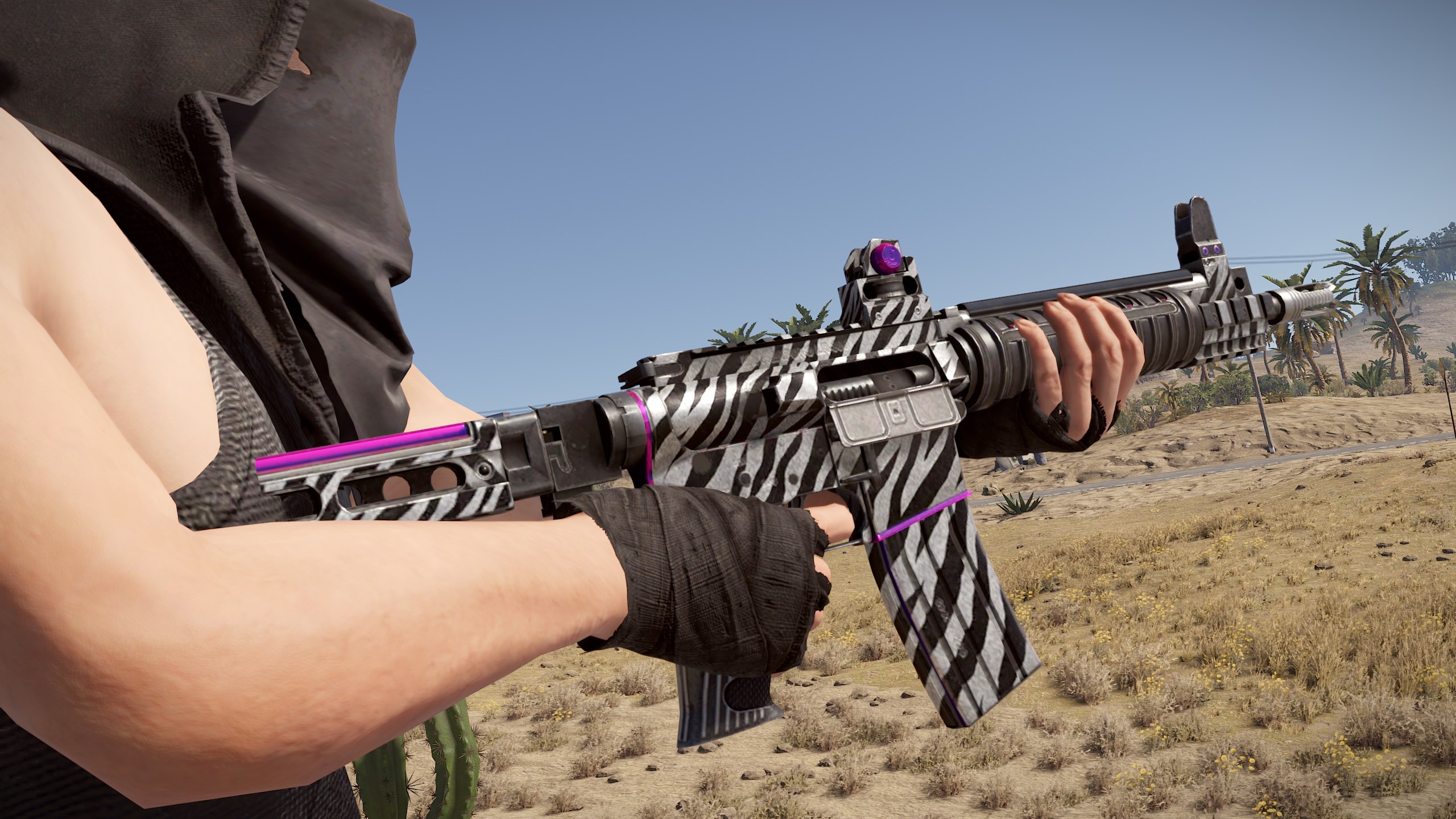 Zebra LR