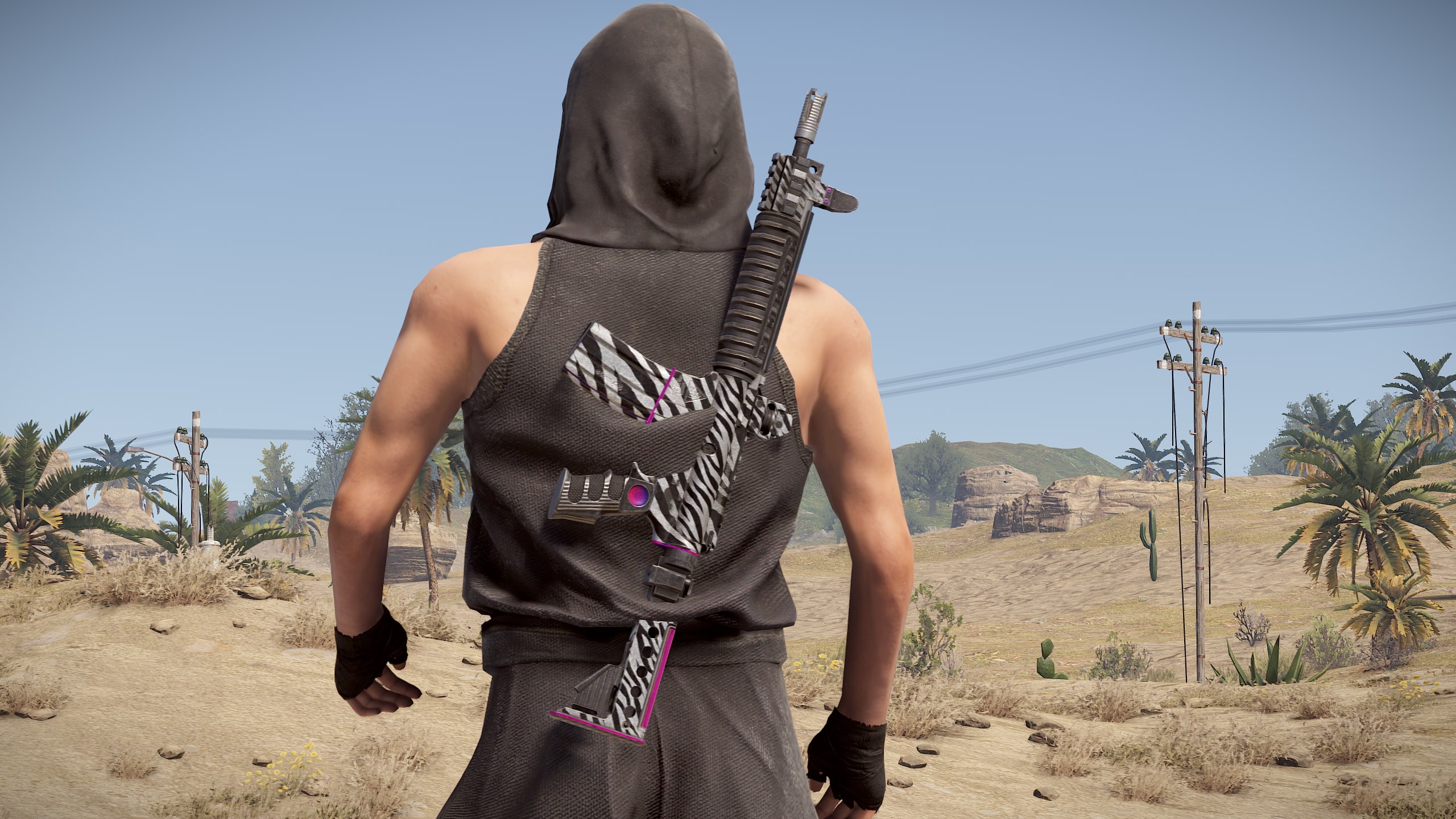 Zebra LR