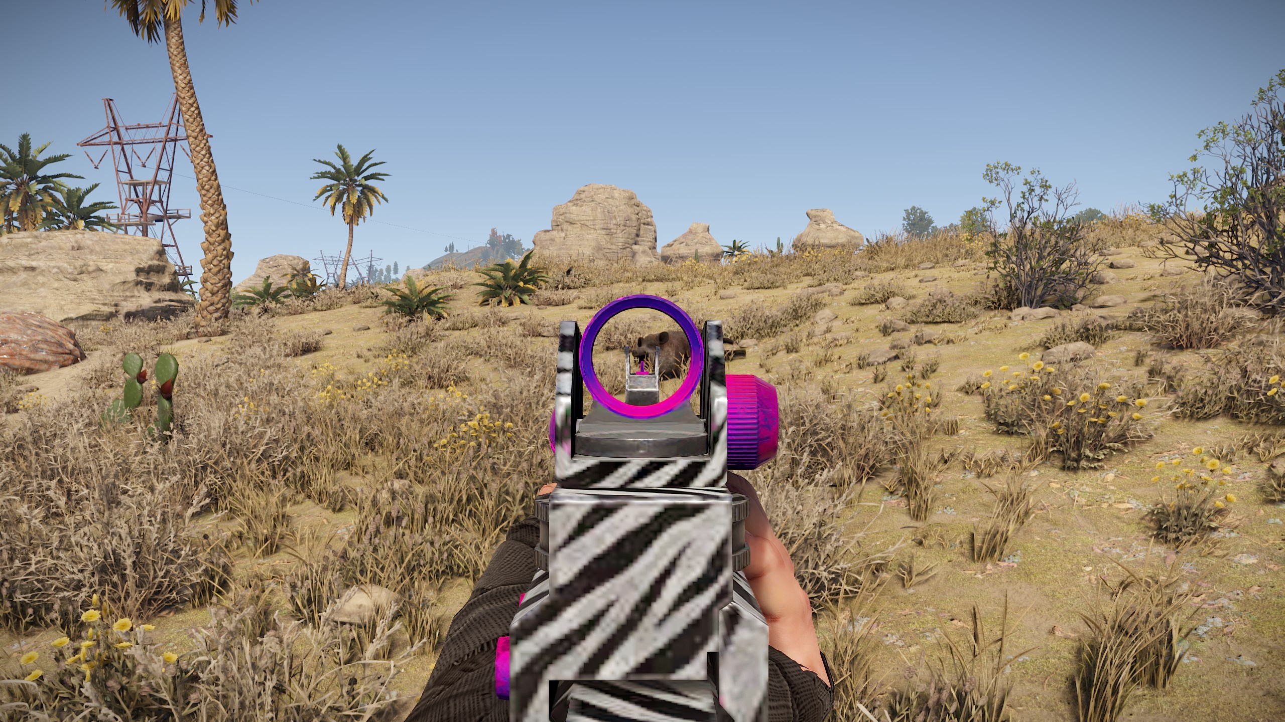 Zebra LR