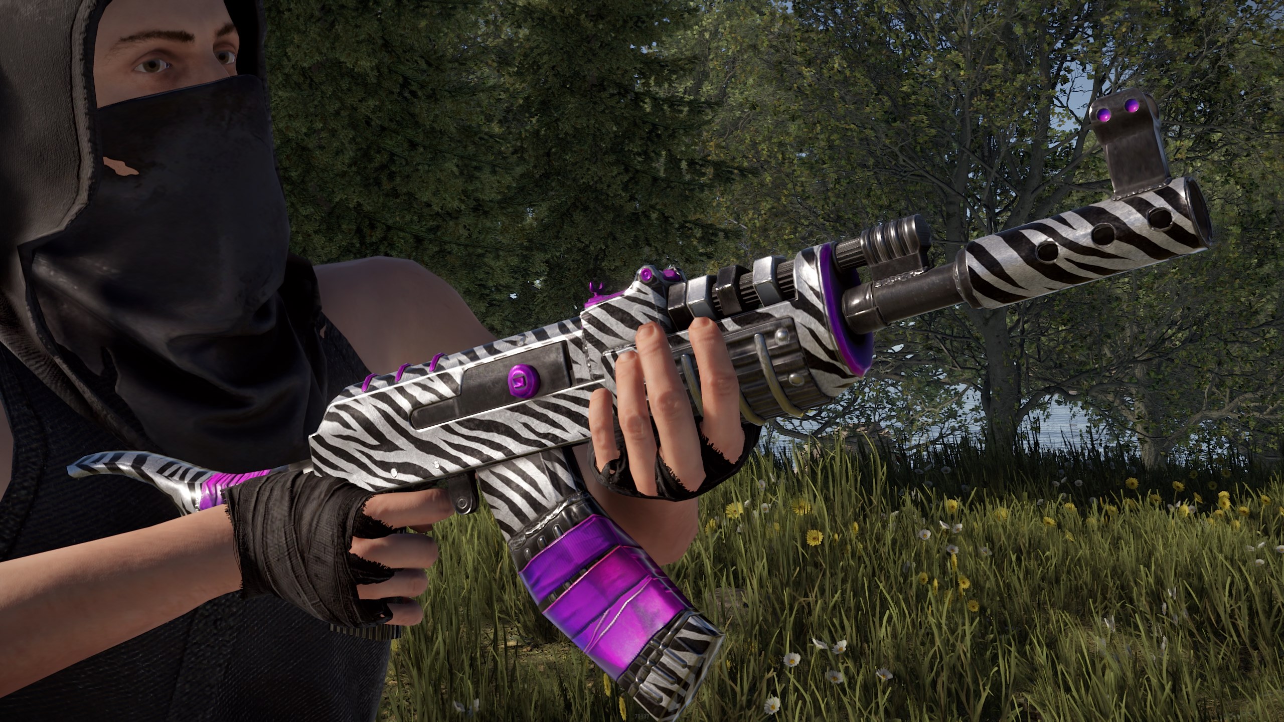 Zebra AR