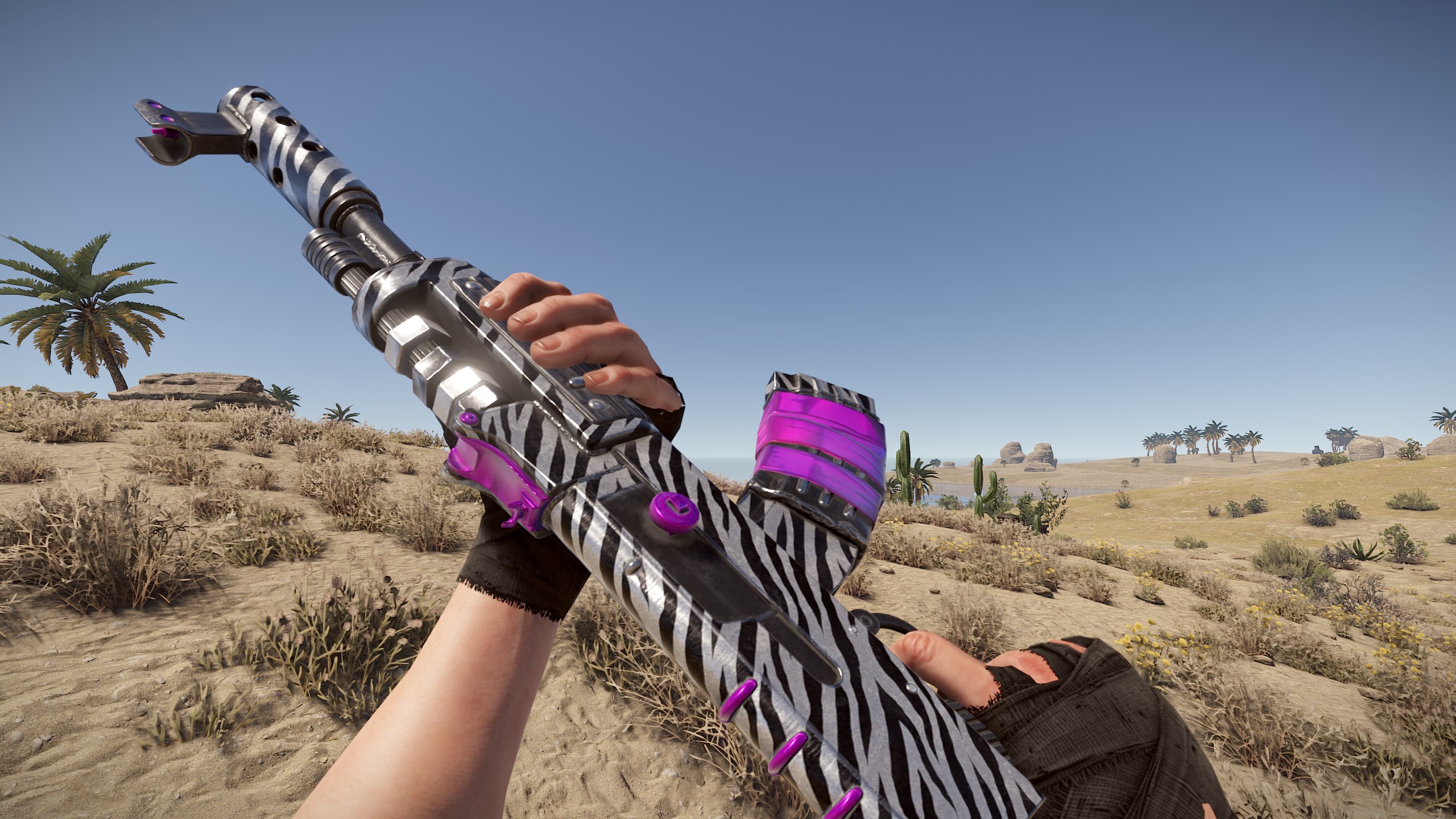 Zebra AR