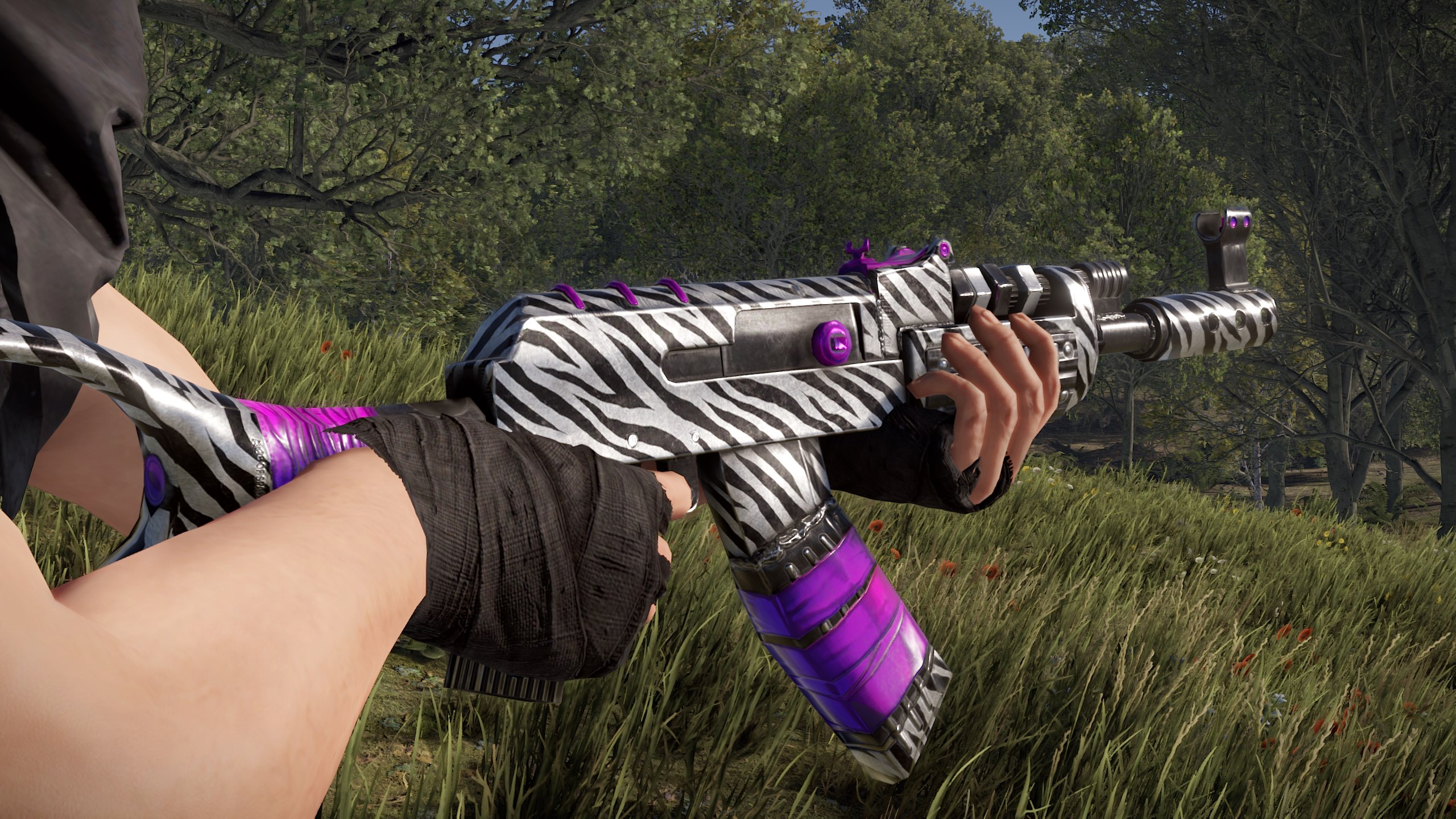 Zebra AR
