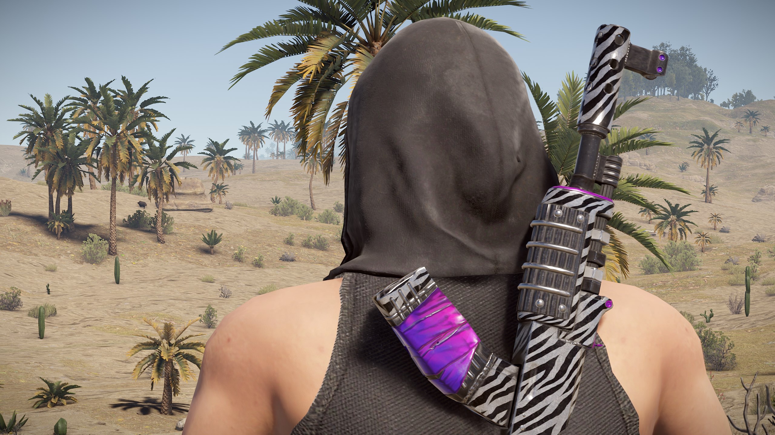 Zebra AR