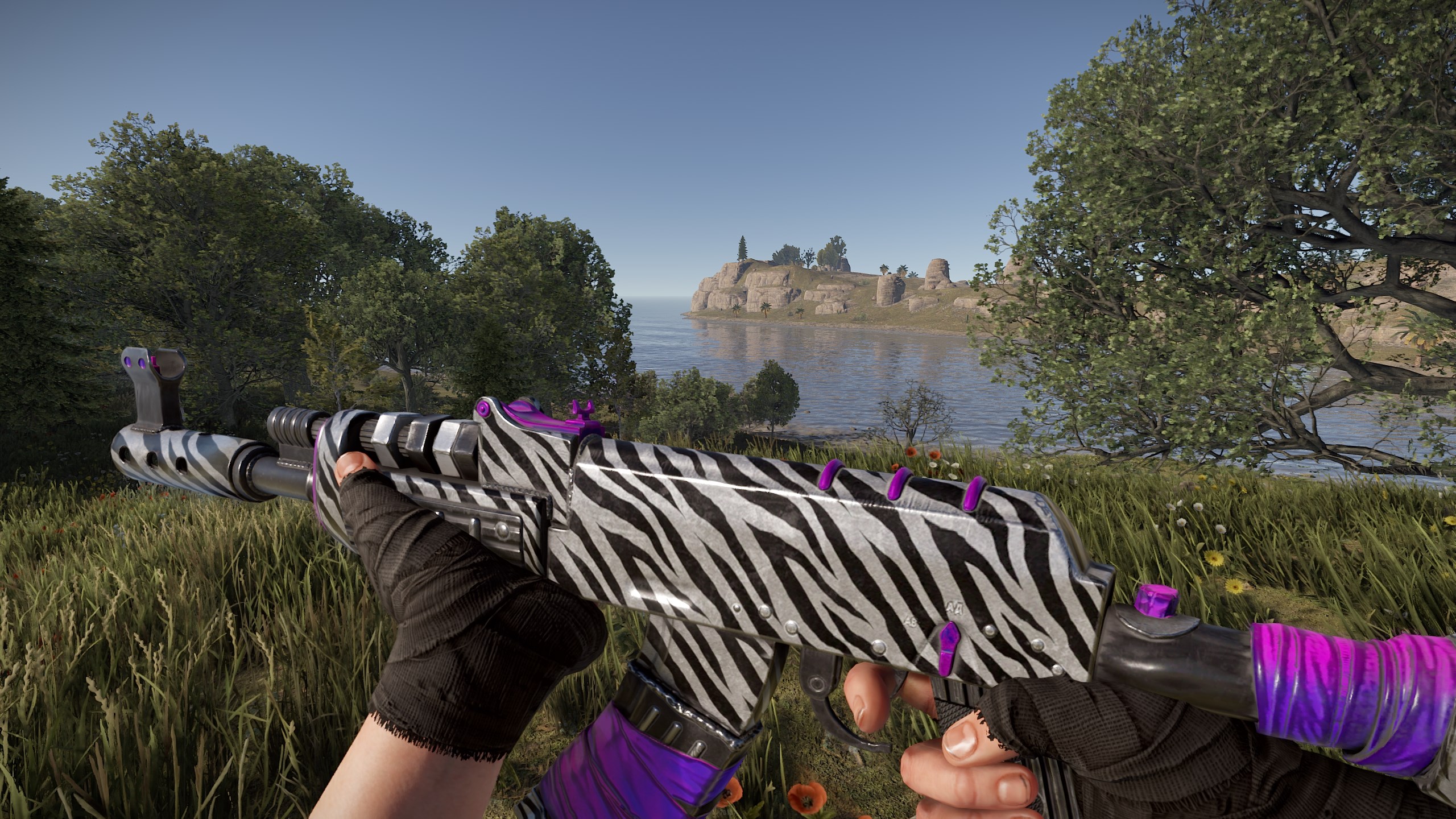 Zebra AR