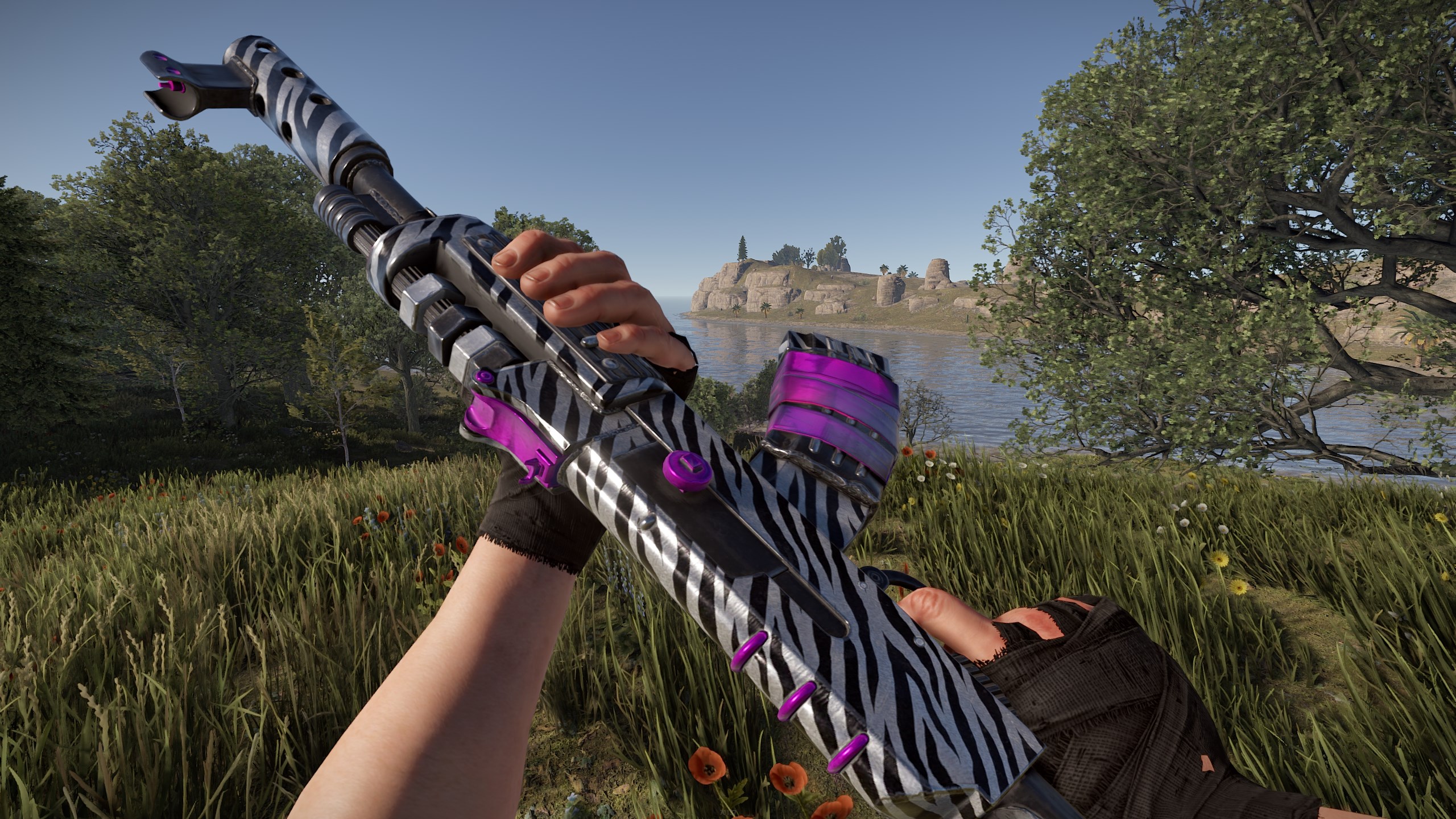Zebra AR