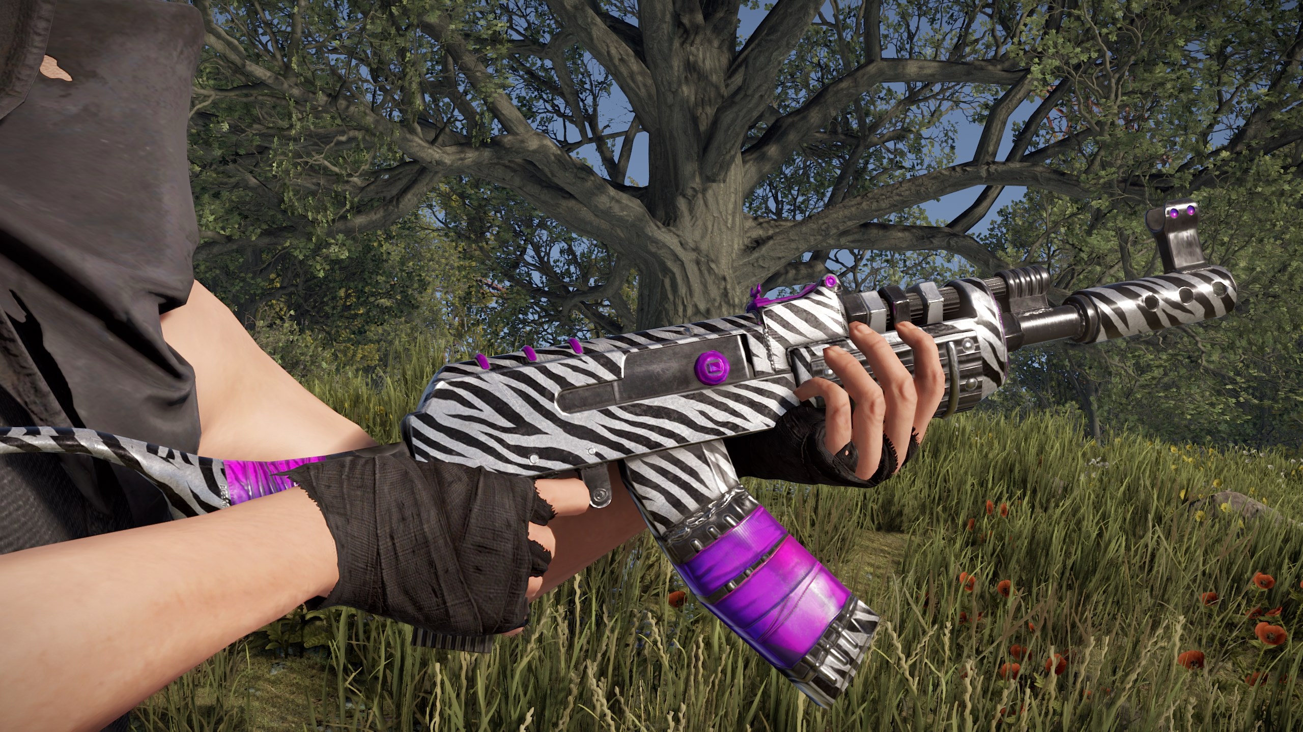 Zebra AR