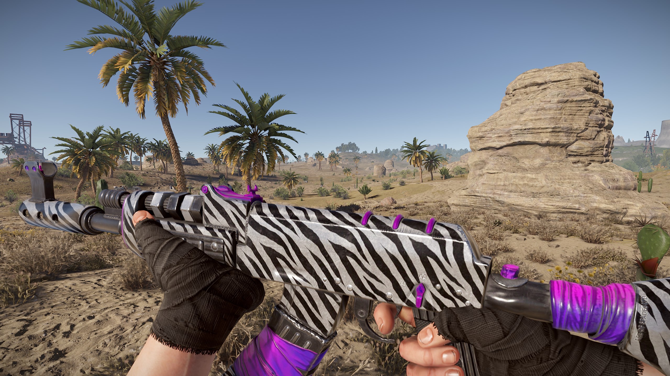 Zebra AR