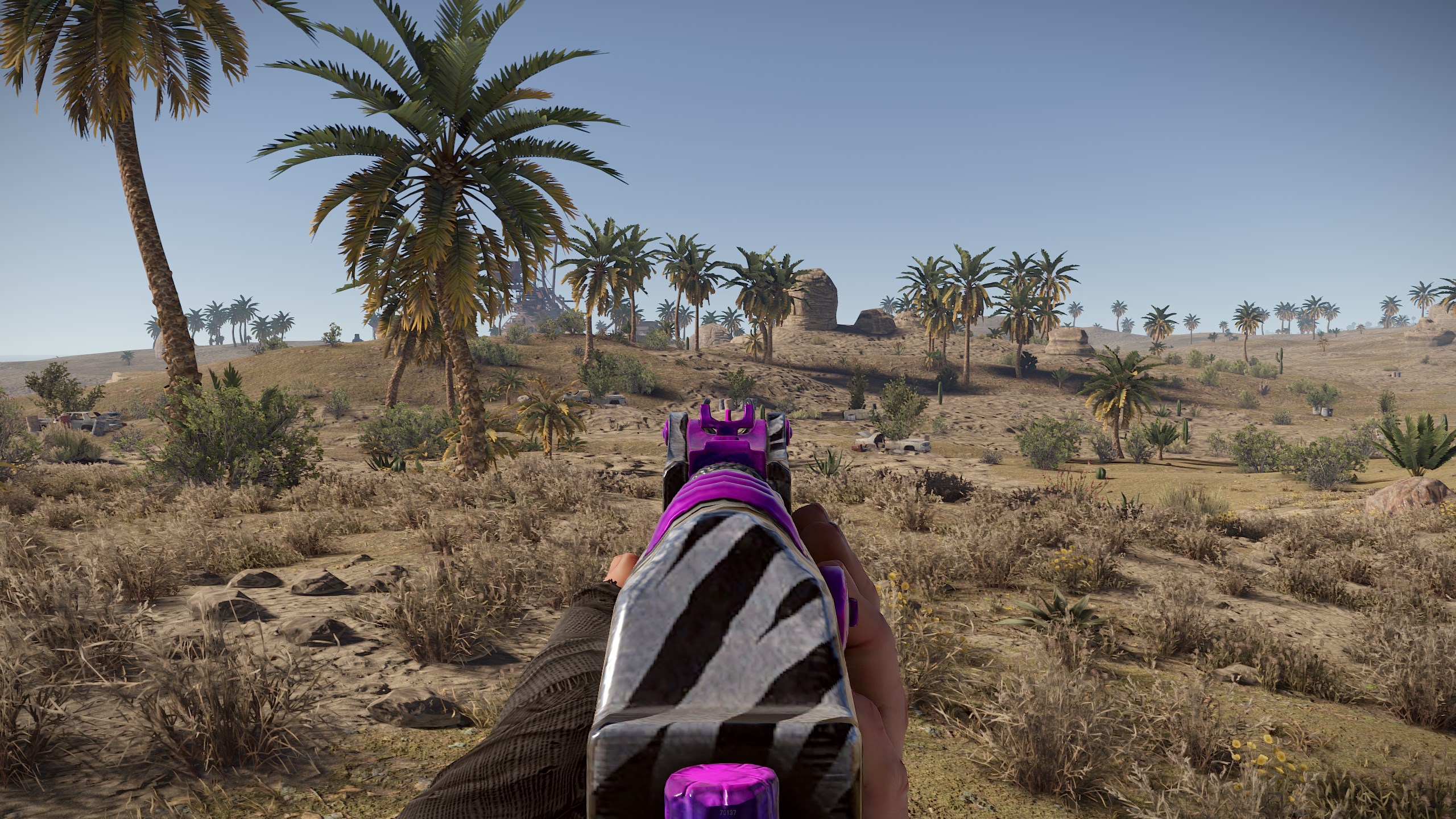 Zebra AR