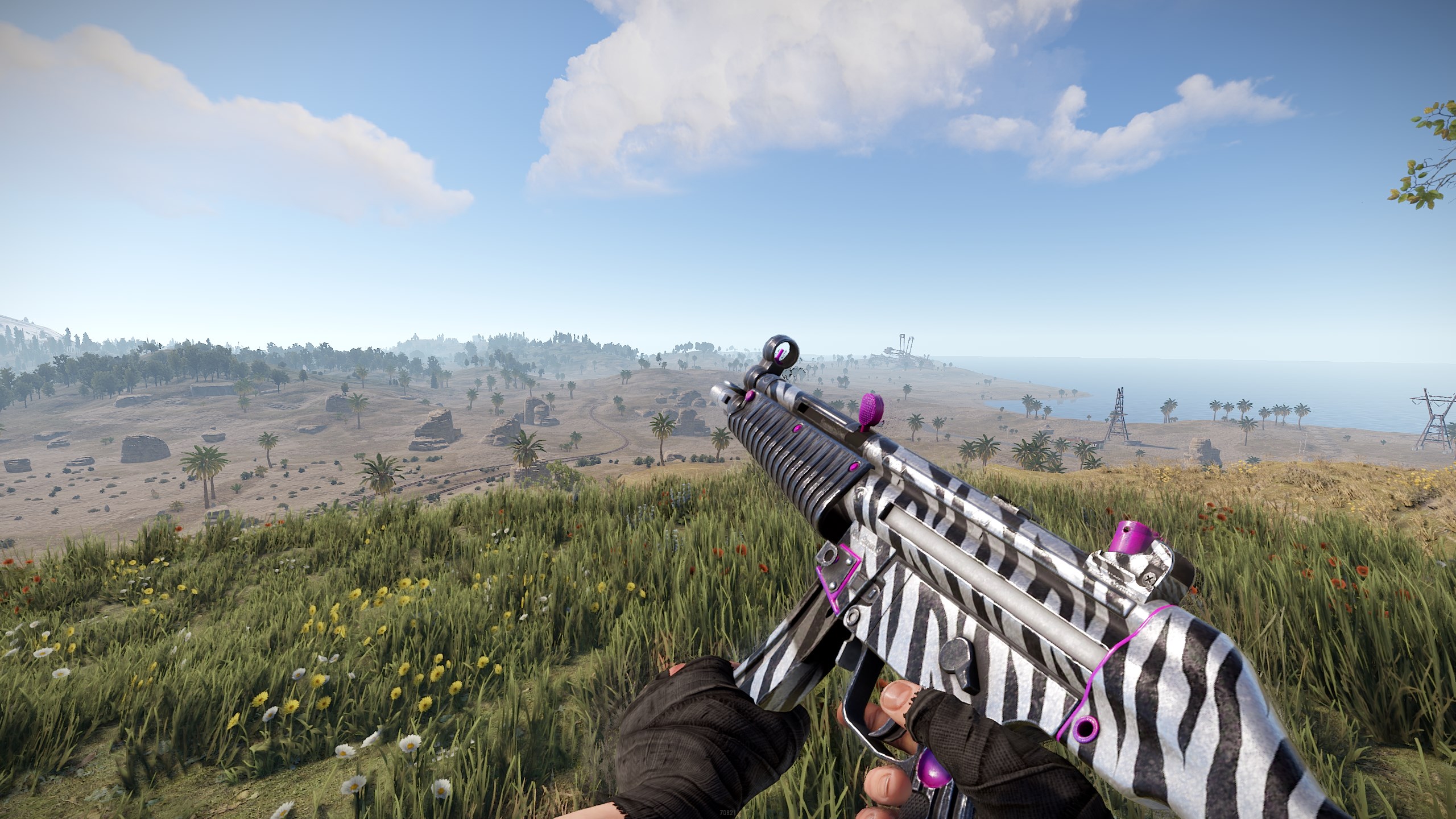 Zebra MP5