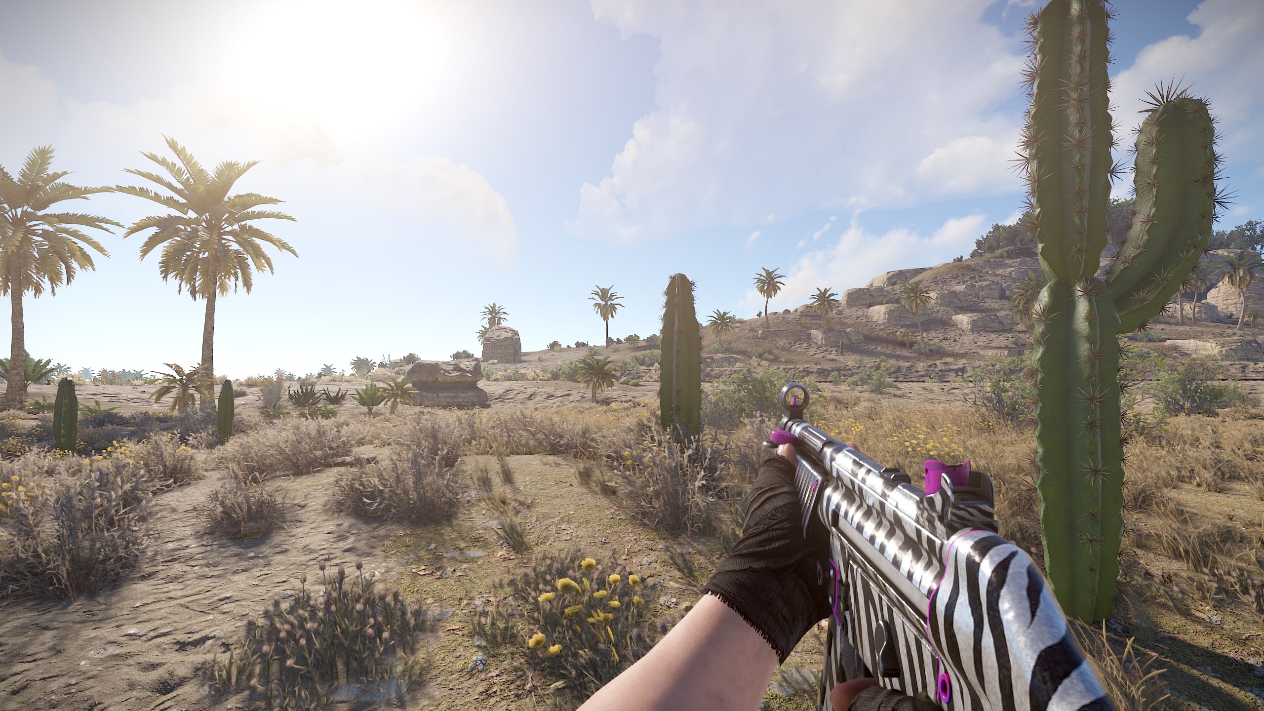 Zebra MP5