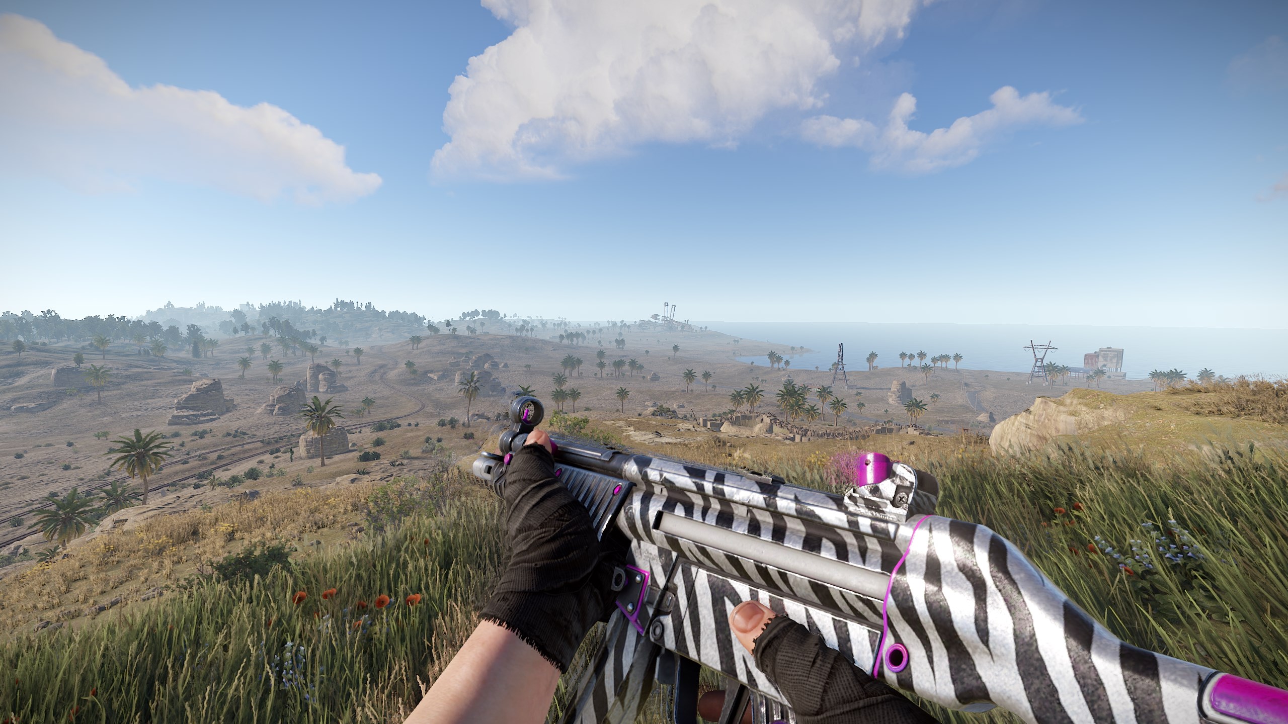 Zebra MP5