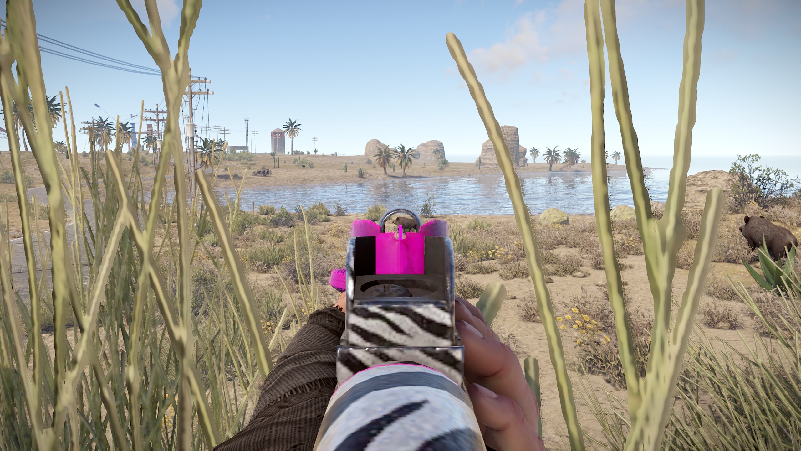 Zebra MP5
