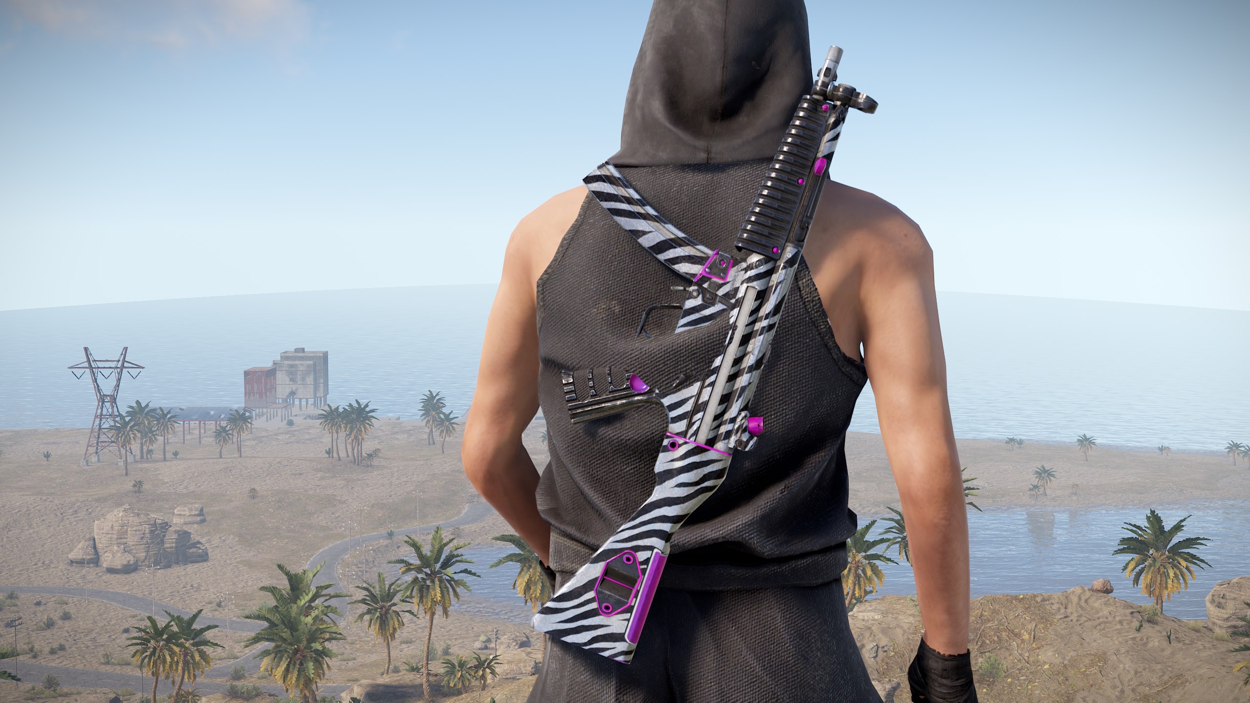 Zebra MP5