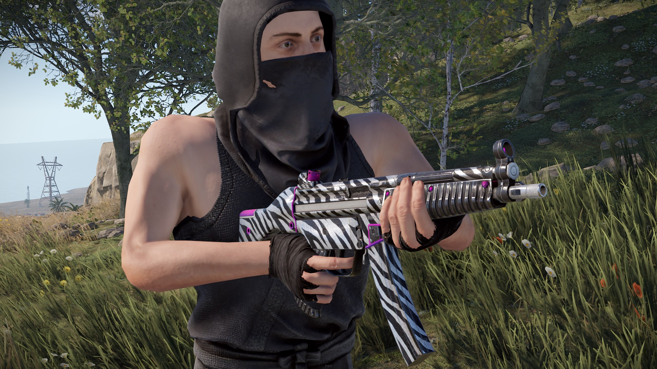 Zebra MP5