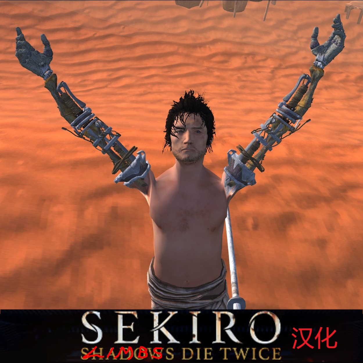 Sekiro: LIMBS die Twice!CN 汉化