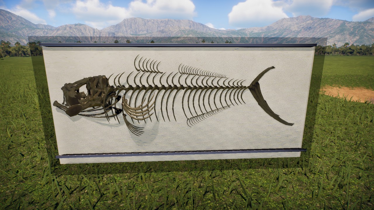 Fish Fossil
