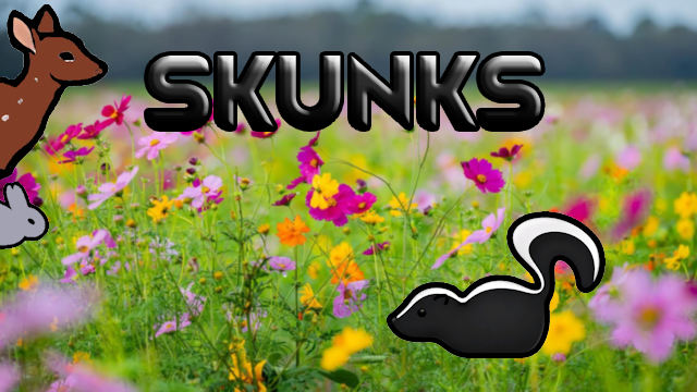 Skunks mod preview for RimWorld