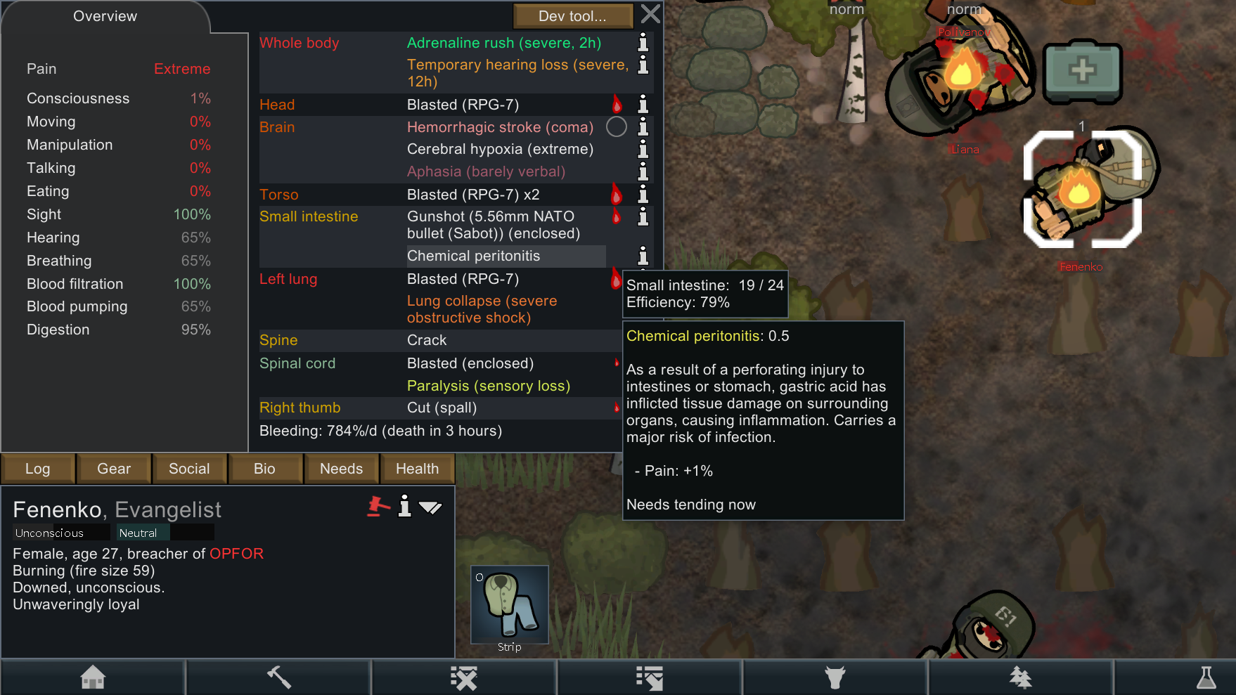 Screenshot 13