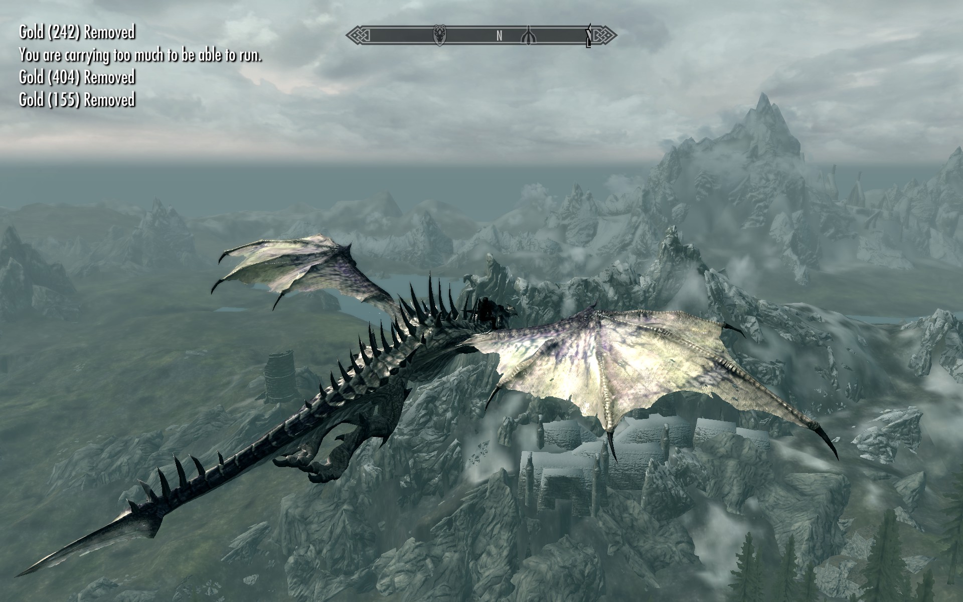 The New World Land Of The Dragons