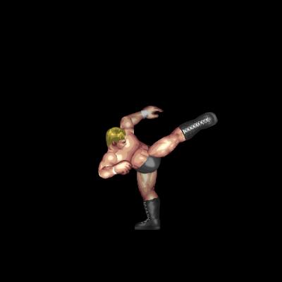 Thrust Kick B (standing)
