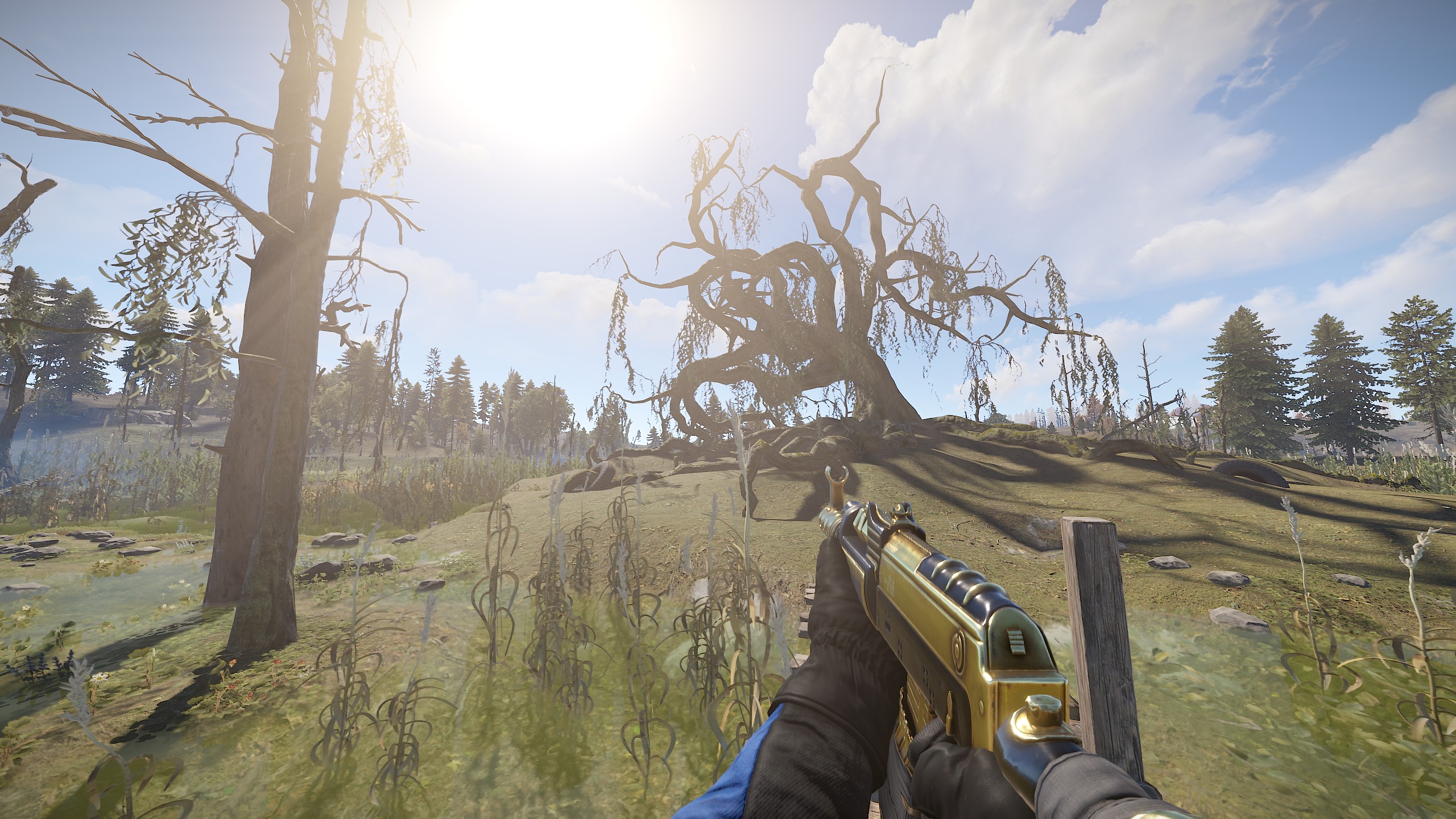 Black Gold AR